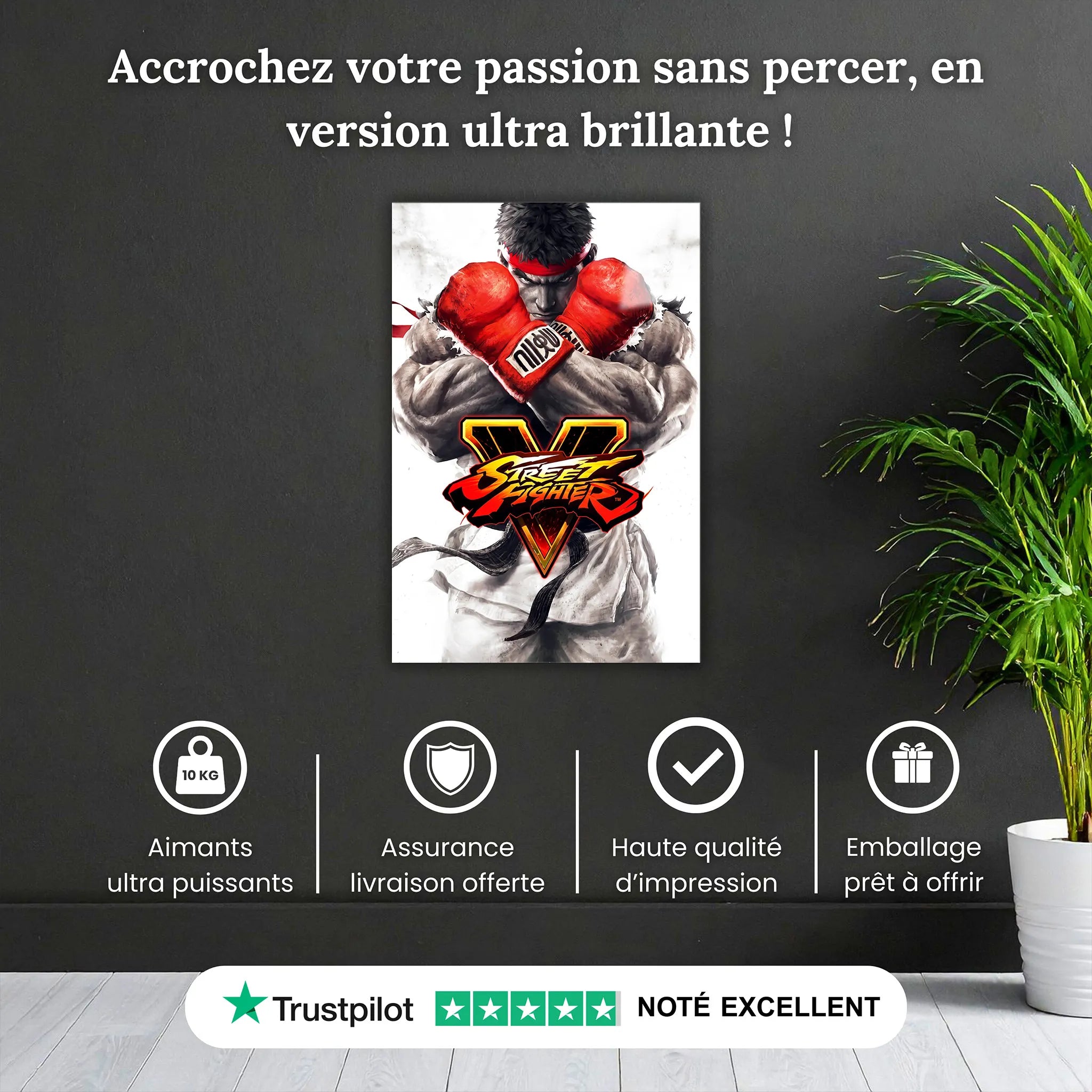Tableau Street Fighter V Ruy