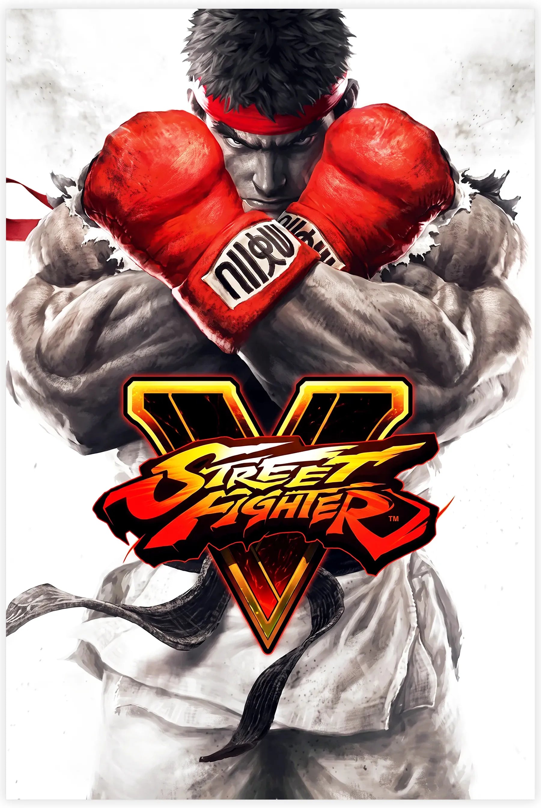 Tableau Street Fighter V Ruy