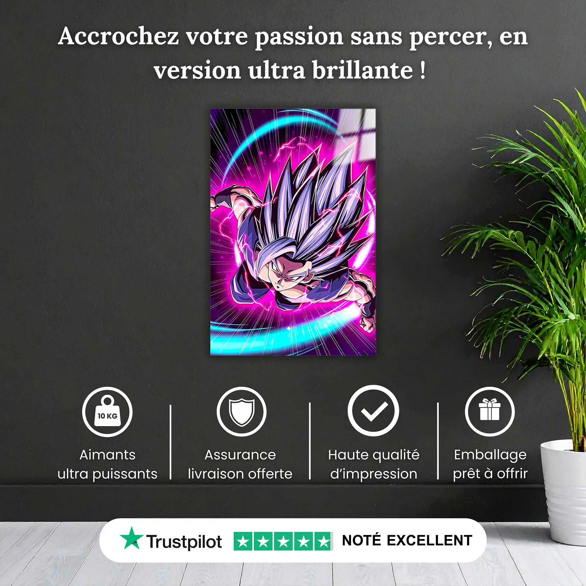 tableau-super-gohan-beast-pourquoi-acheter | DreamWay