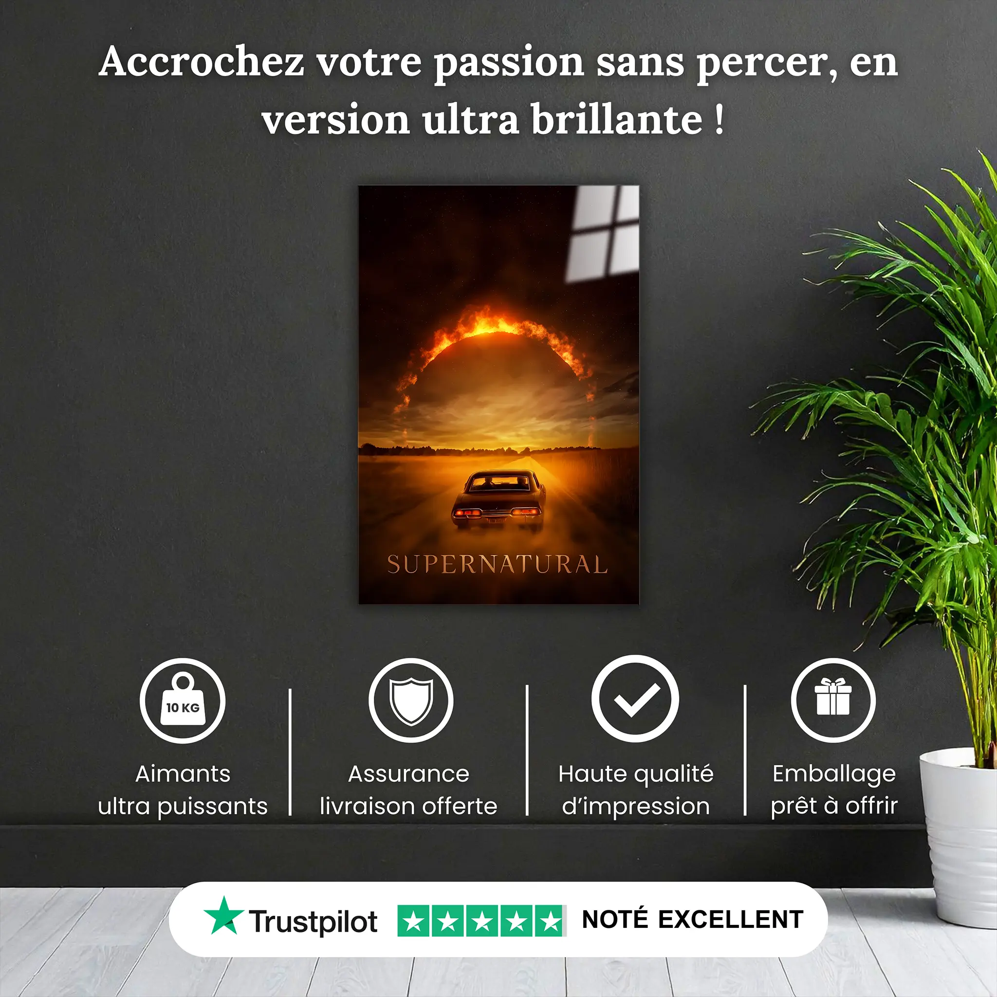 tableau-supernatural-affiche-pourquoi-acheter | DreamWay