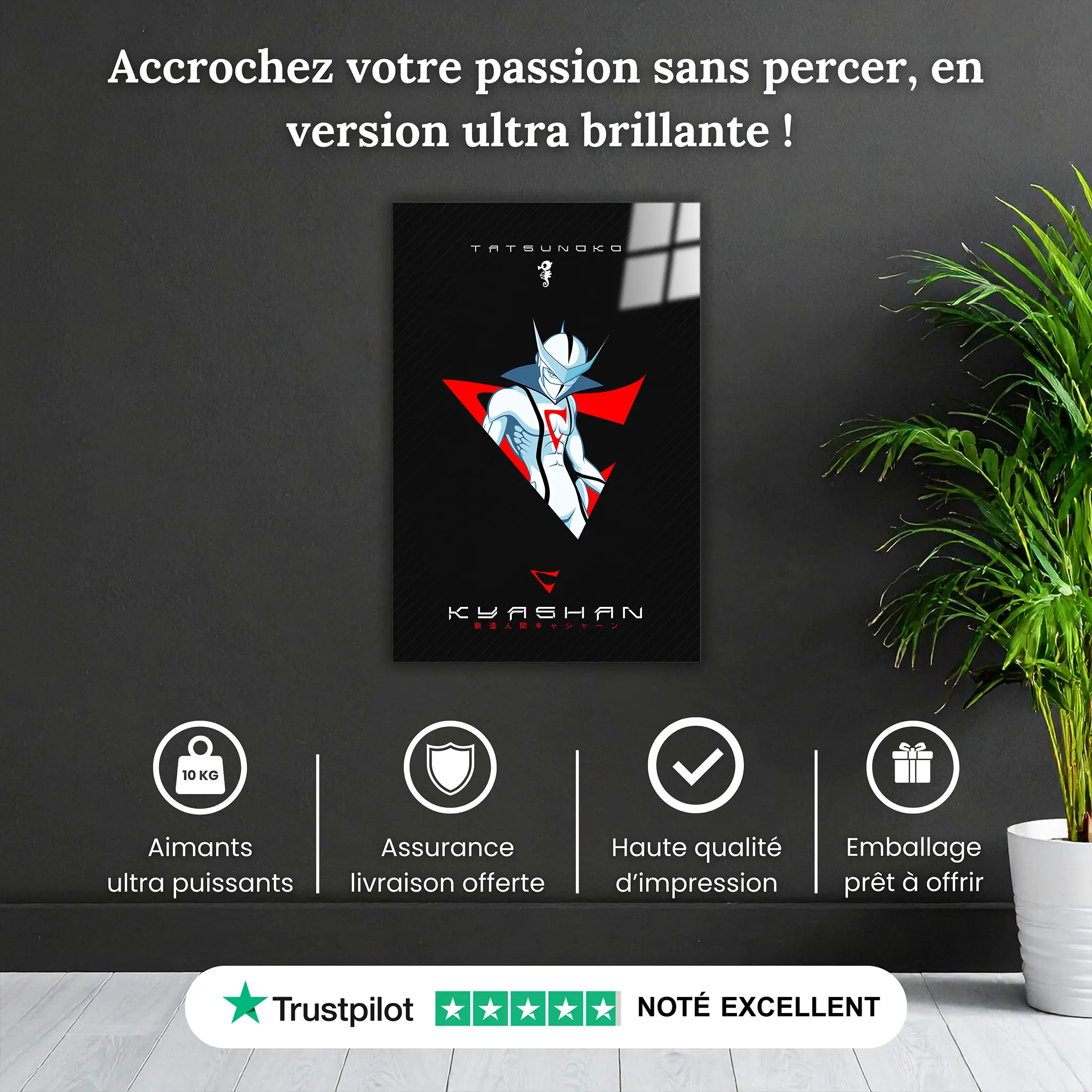 Tableau Tatsunoko Kyashan