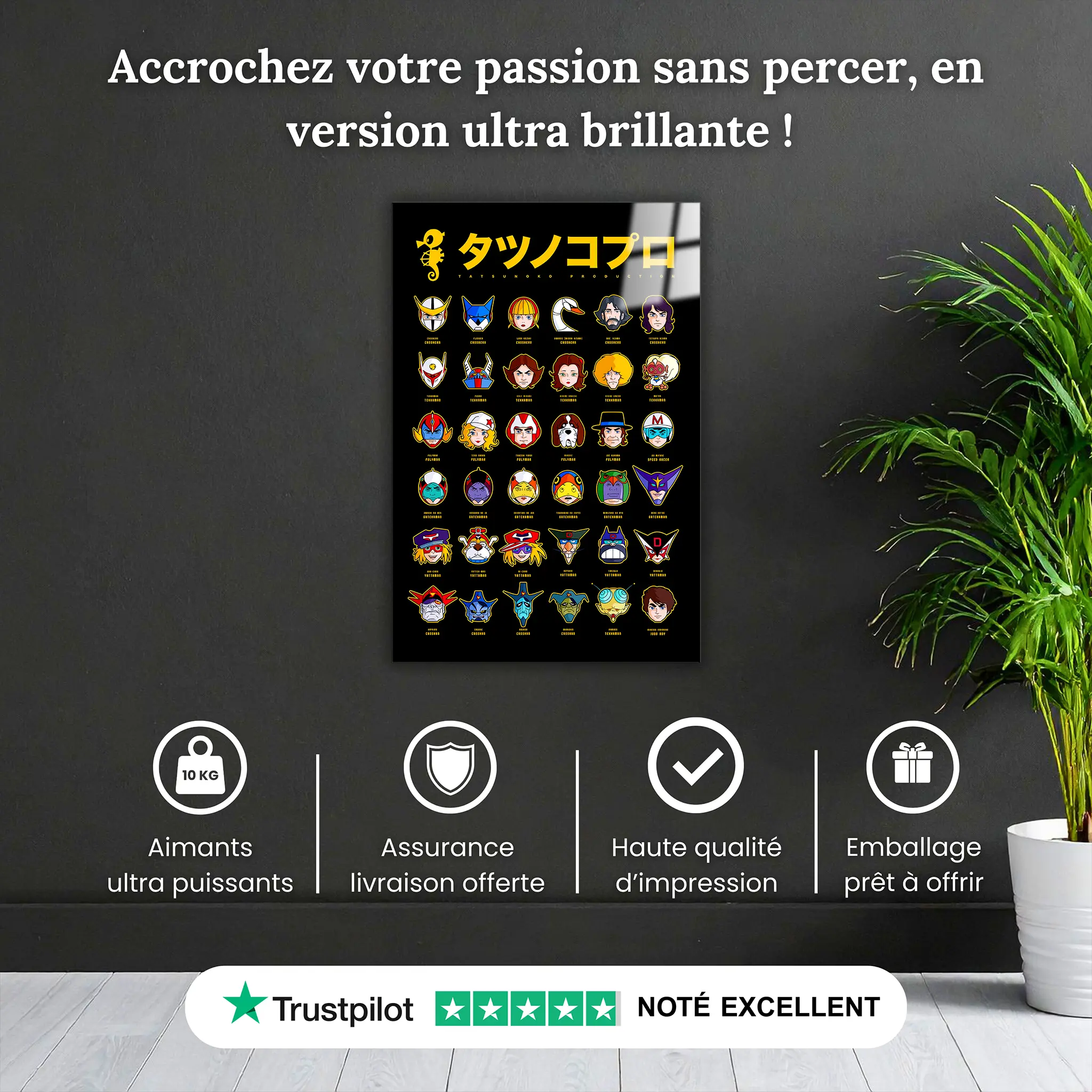 Tableau Tatsunoko Les Héros