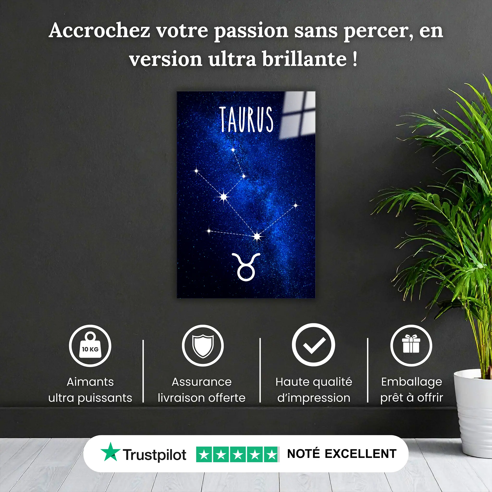tableau-taureau-constellation-pourquoi-acheter | DreamWay