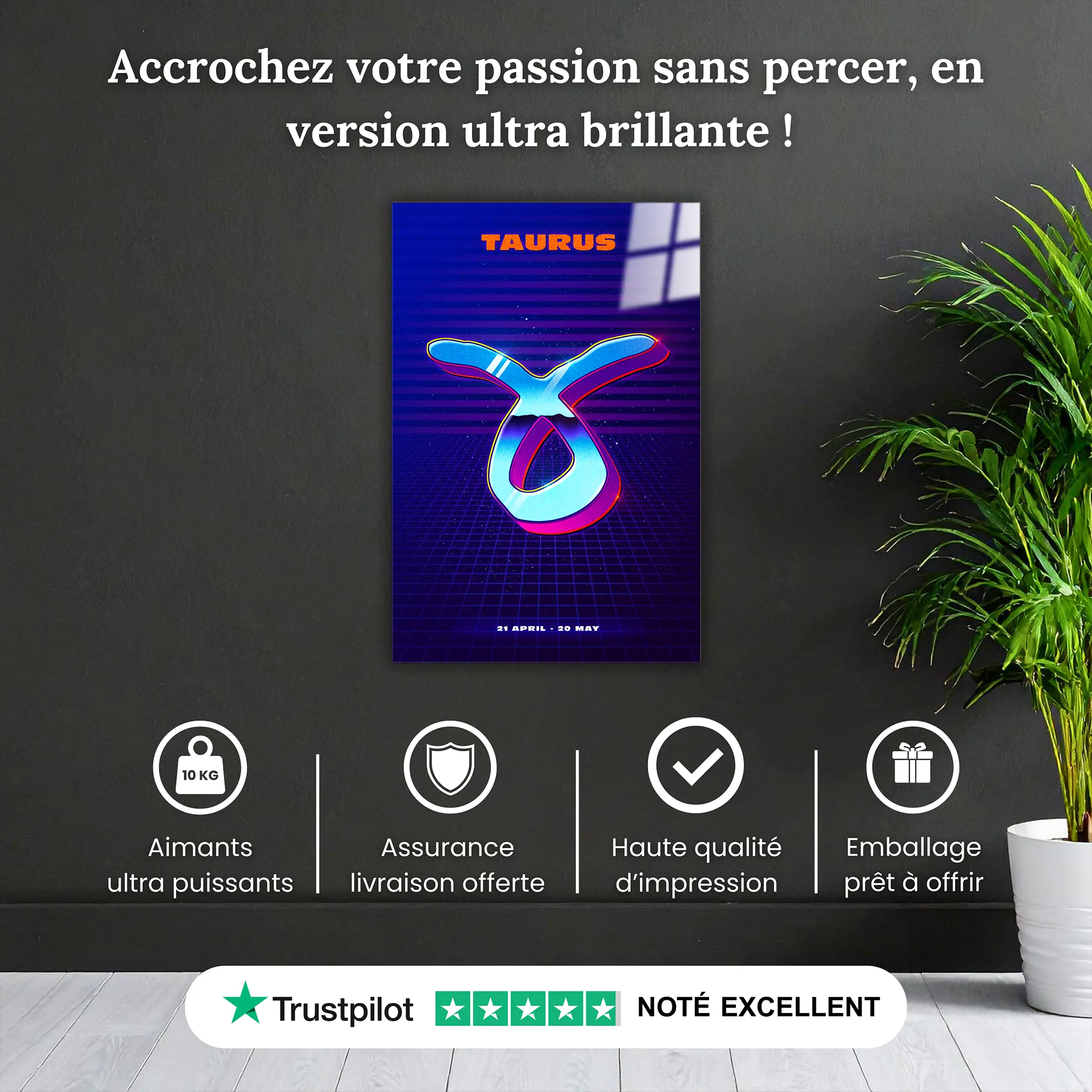 tableau-taureau-retro-pourquoi-acheter | DreamWay