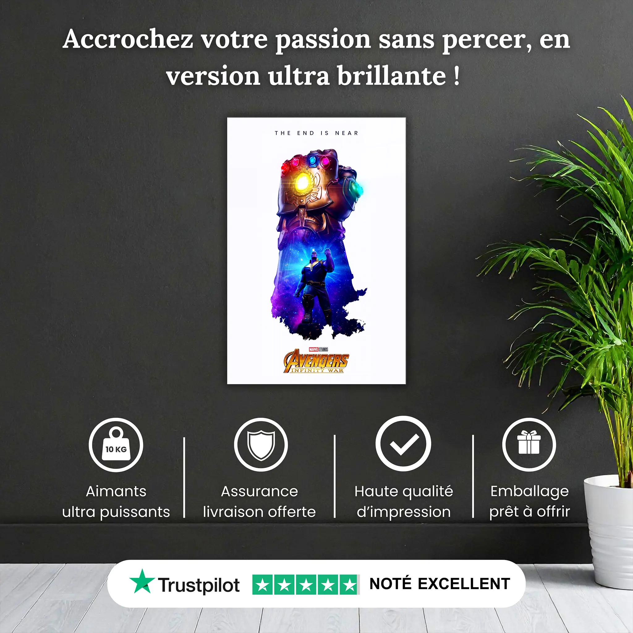 tableau-thanos-affiche-pourquoi-acheter | DreamWay