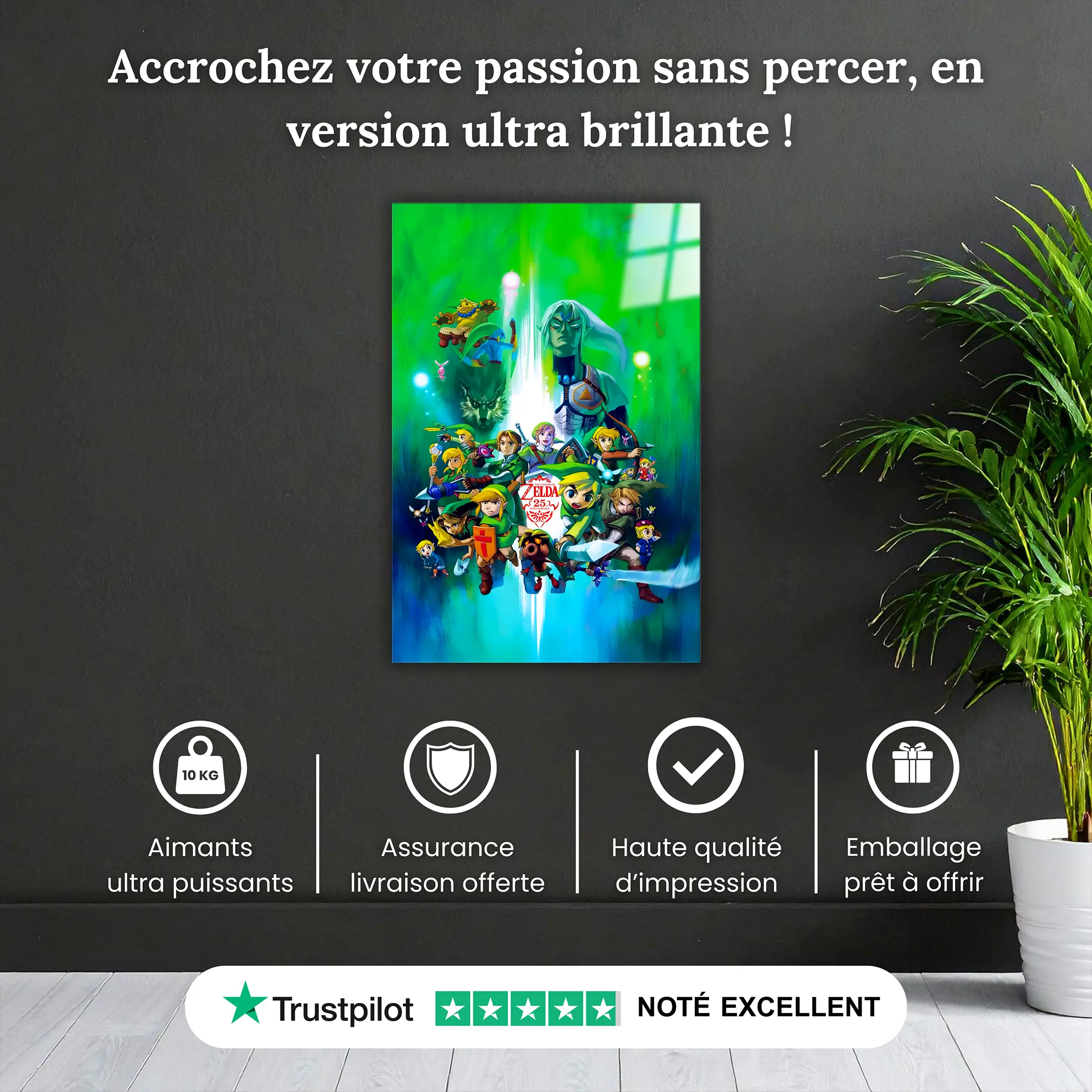 tableau-the-legend-of-zelda-25-ans-anniversaire-pourquoi-acheter | DreamWay