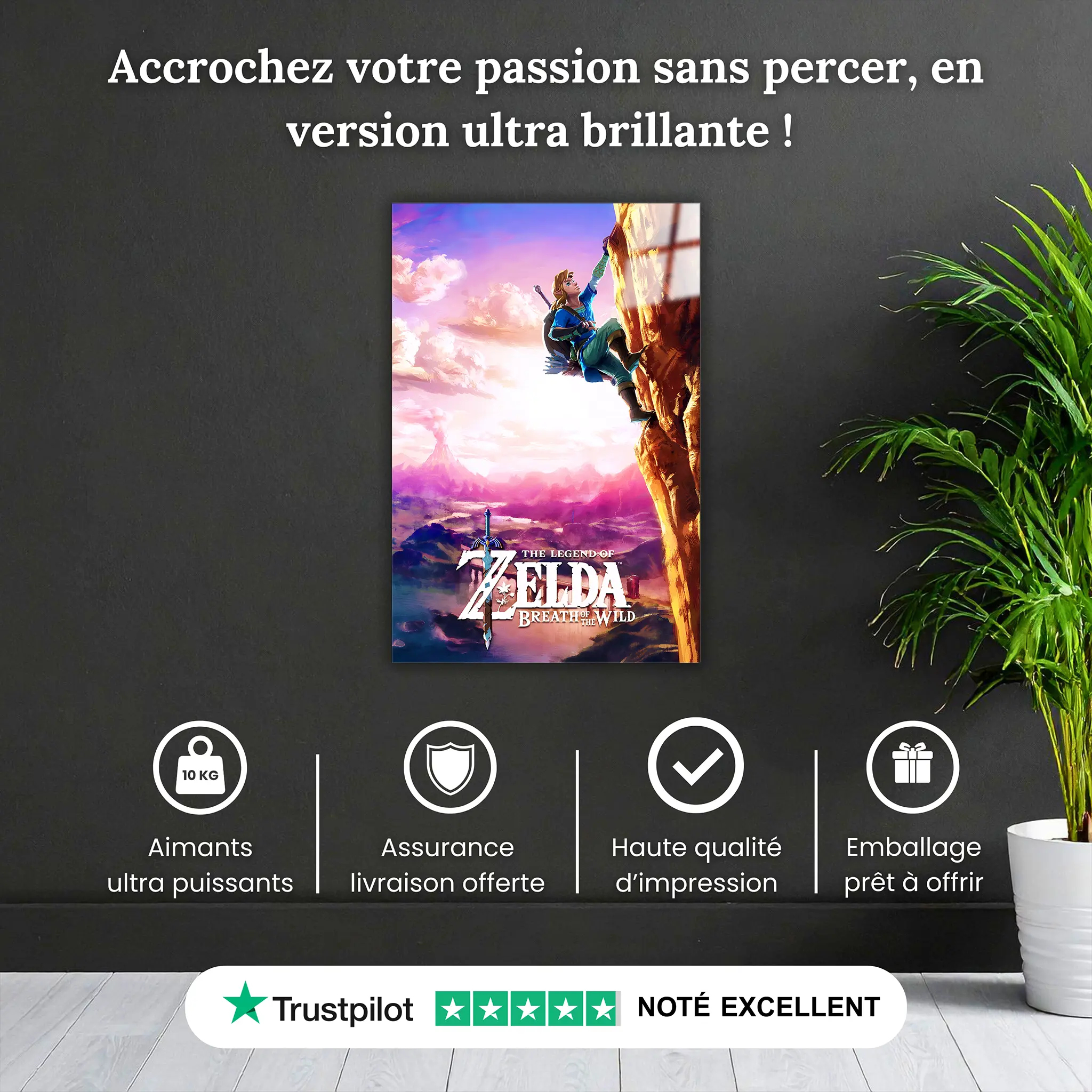 tableau-the-legend-of-zelda-breath-of-wild-pourquoi-acheter | DreamWay