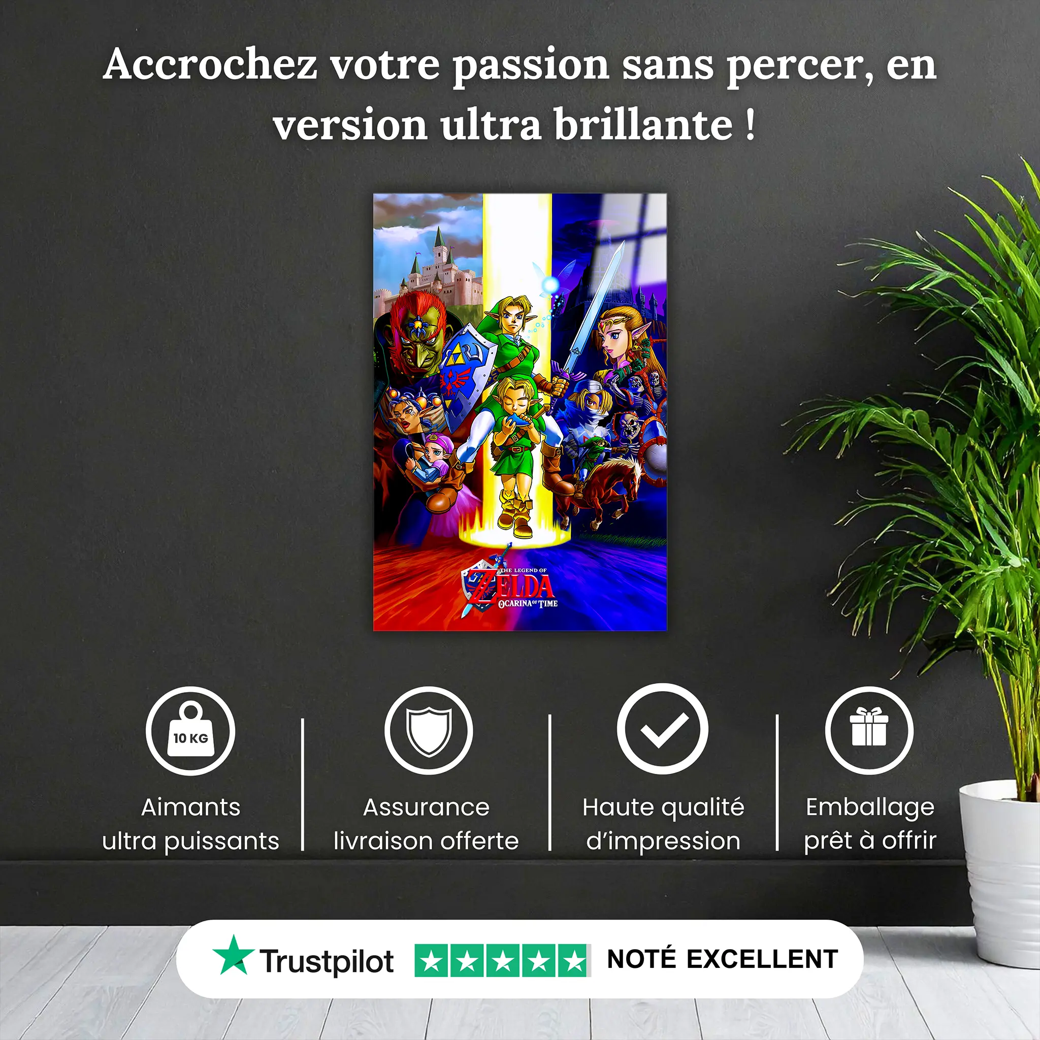 tableau-the-legend-of-zelda-ocarina-of-time-affiche-pourquoi-acheter | DreamWay
