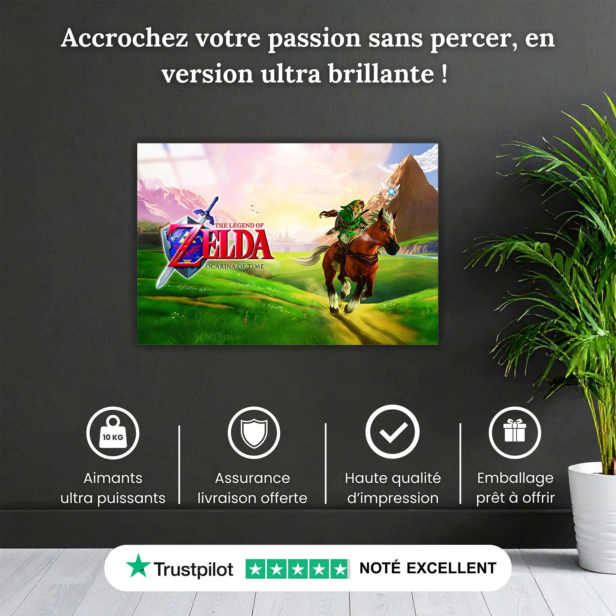 tableau-the-legend-of-zelda-ocarina-of-time-paysage-pourquoi-acheter | DreamWay