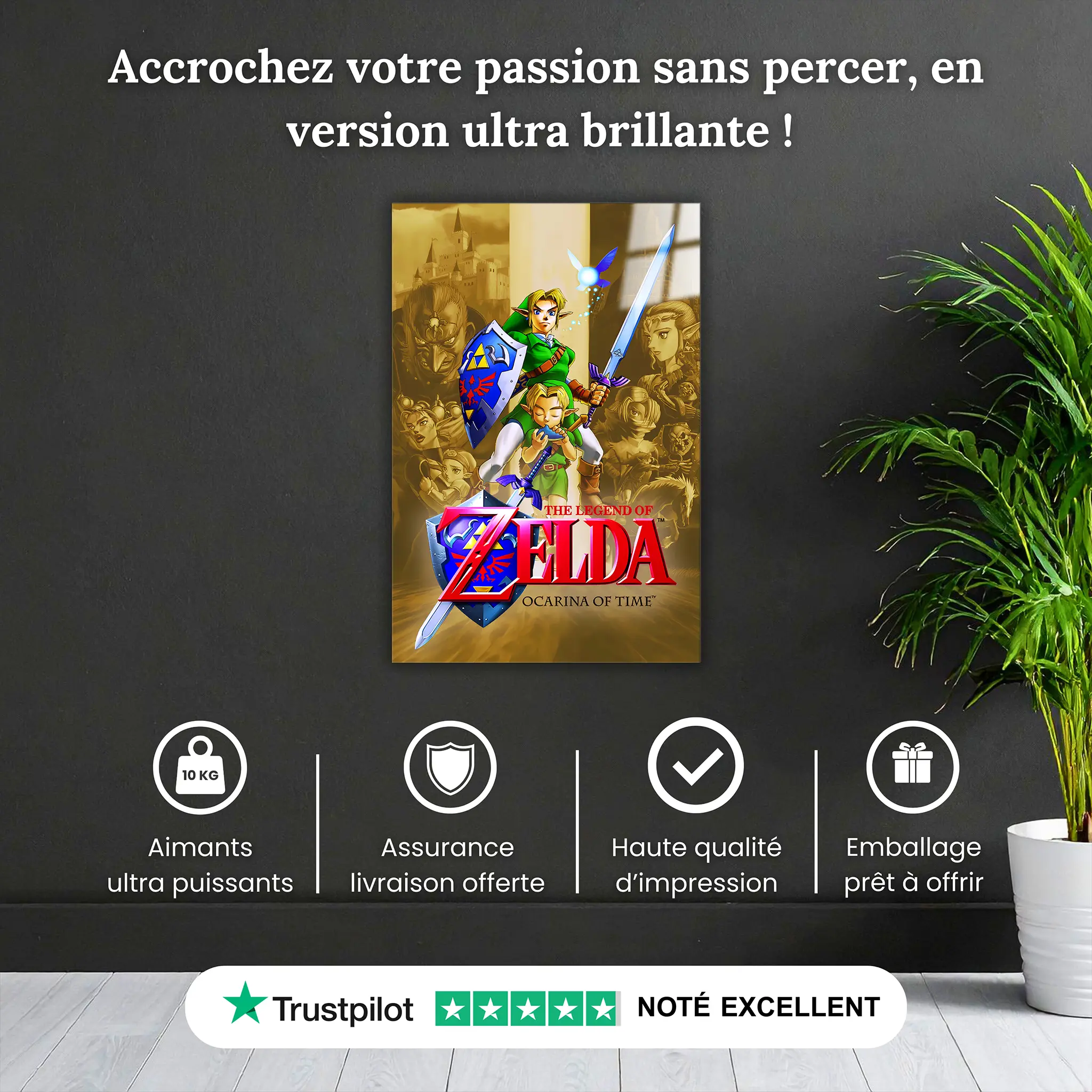 tableau-the-legend-of-zelda-ocarina-of-time-pourquoi-acheter | DreamWay