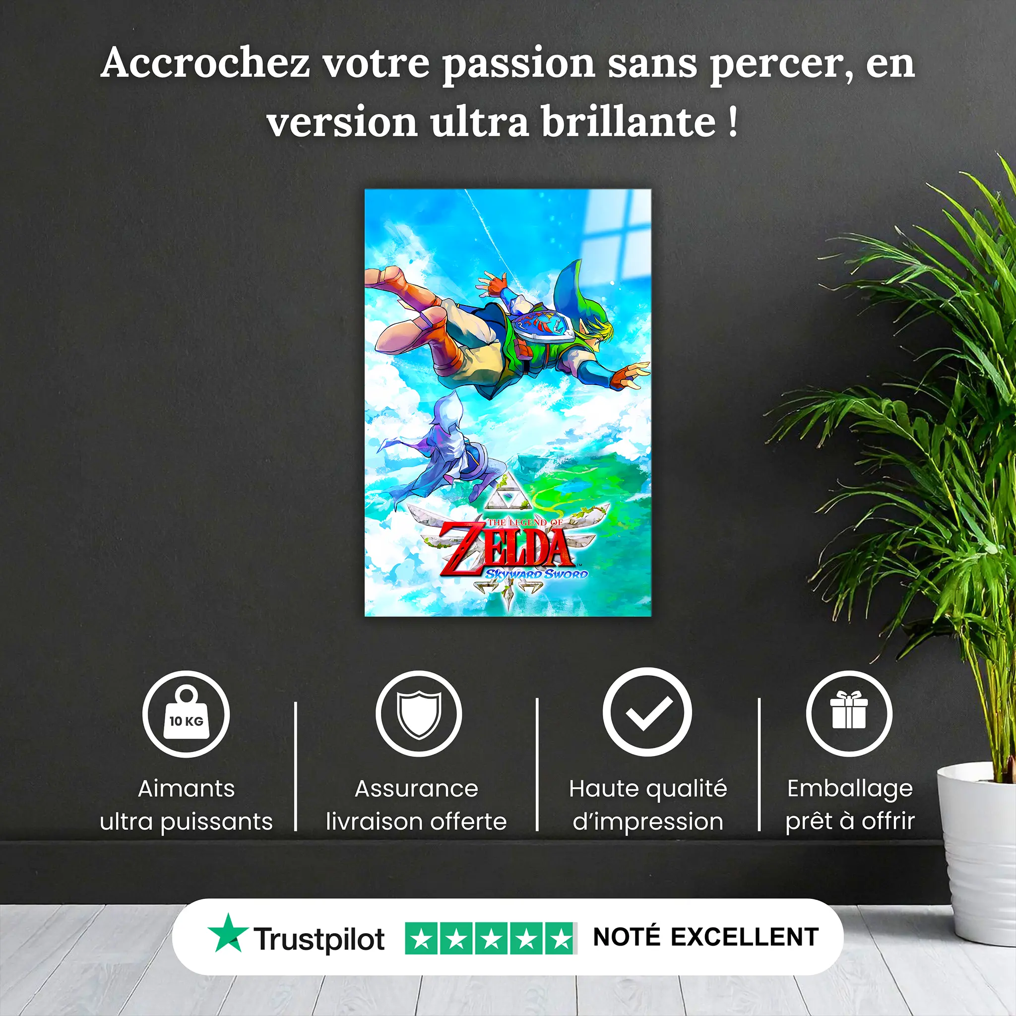 tableau-the-legend-of-zelda-skyward-sword-pourquoi-acheter | DreamWay