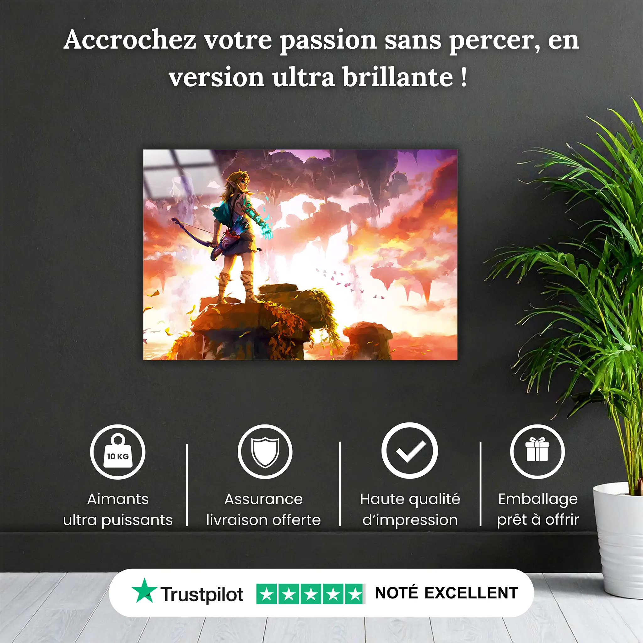tableau-the-legend-of-zelda-tearsofthekingdom-paysage-pourquoi-acheter | DreamWay