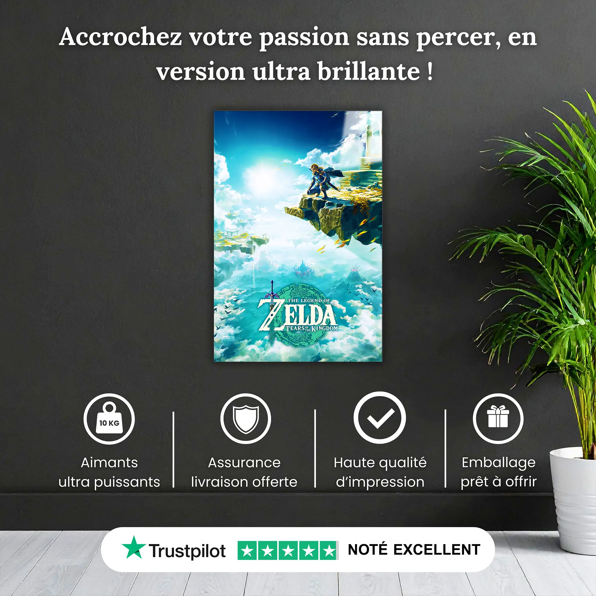 tableau-the-legend-of-zelda-tearsofthekingdom-pourquoi-acheter | DreamWay