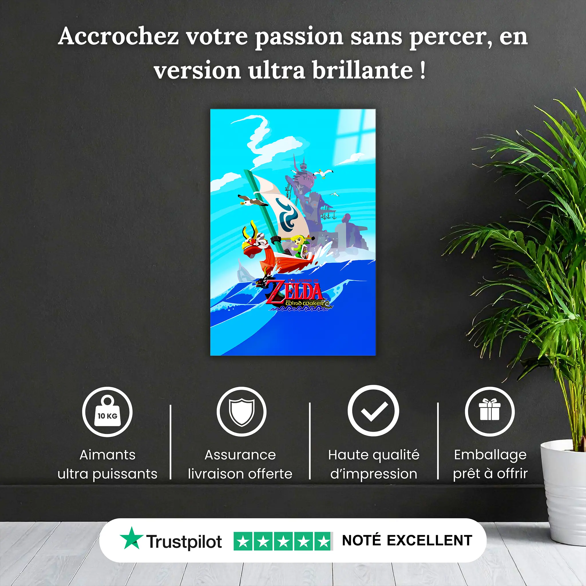 tableau-the-legend-of-zelda-the-wind-walker-pourquoi-acheter | DreamWay