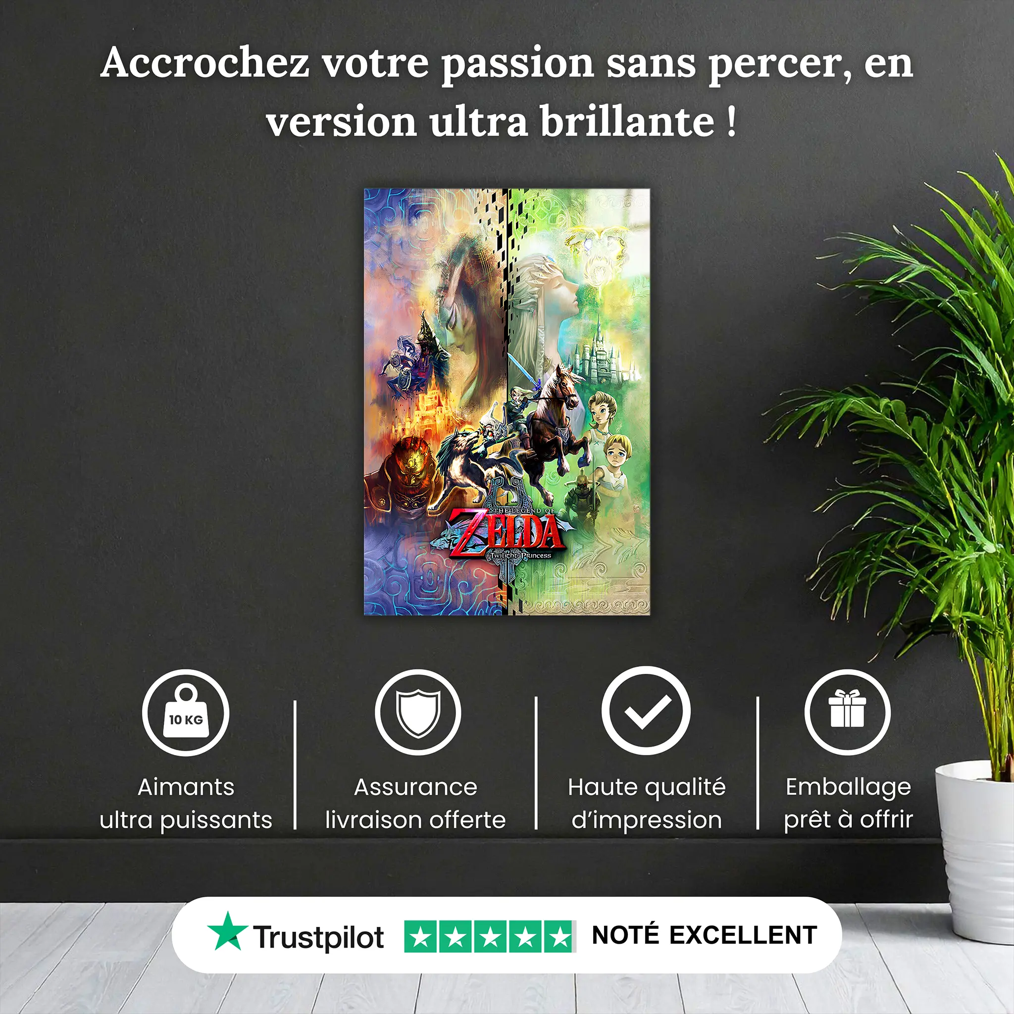 tableau-the-legend-of-zelda-twilight-princess-pourquoi-acheter | DreamWay