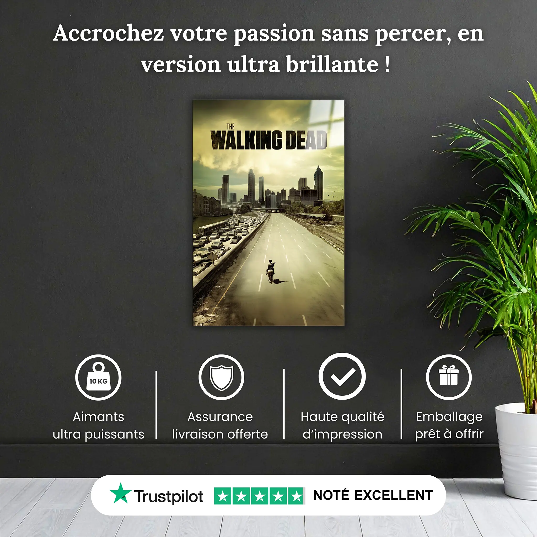 tableau-the-walking-dead-affiche-pourquoi-acheter | DreamWay