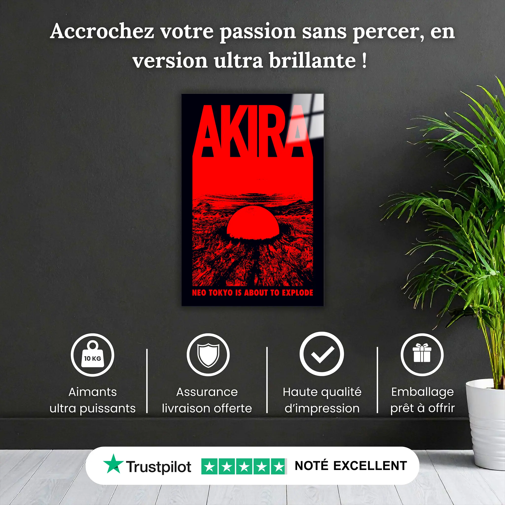 tableau-tokyo-explode-pourquoi-acheter | DreamWay