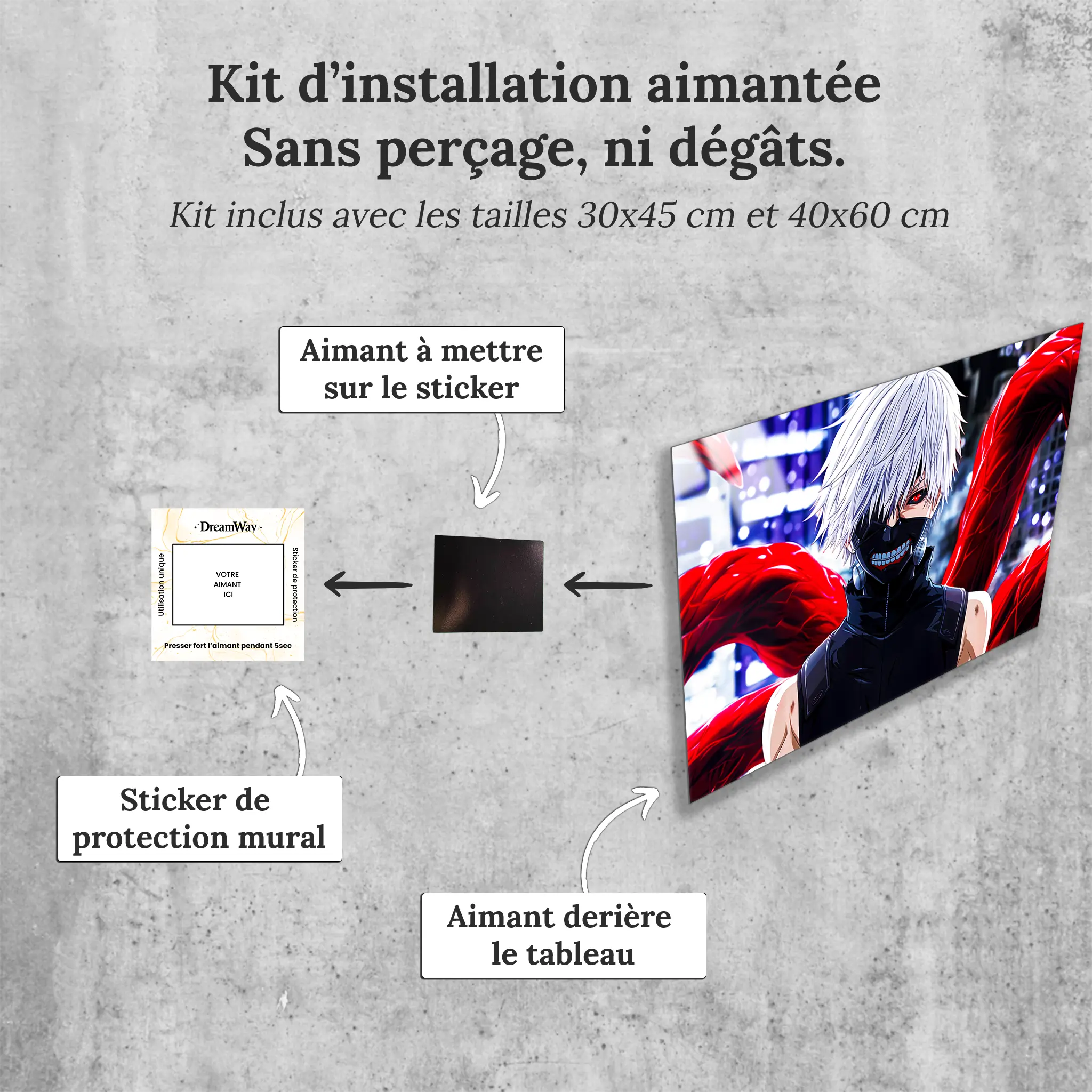 tableau-tokyo-ghoul-kaneki-avec-installation-aimantee | DreamWay