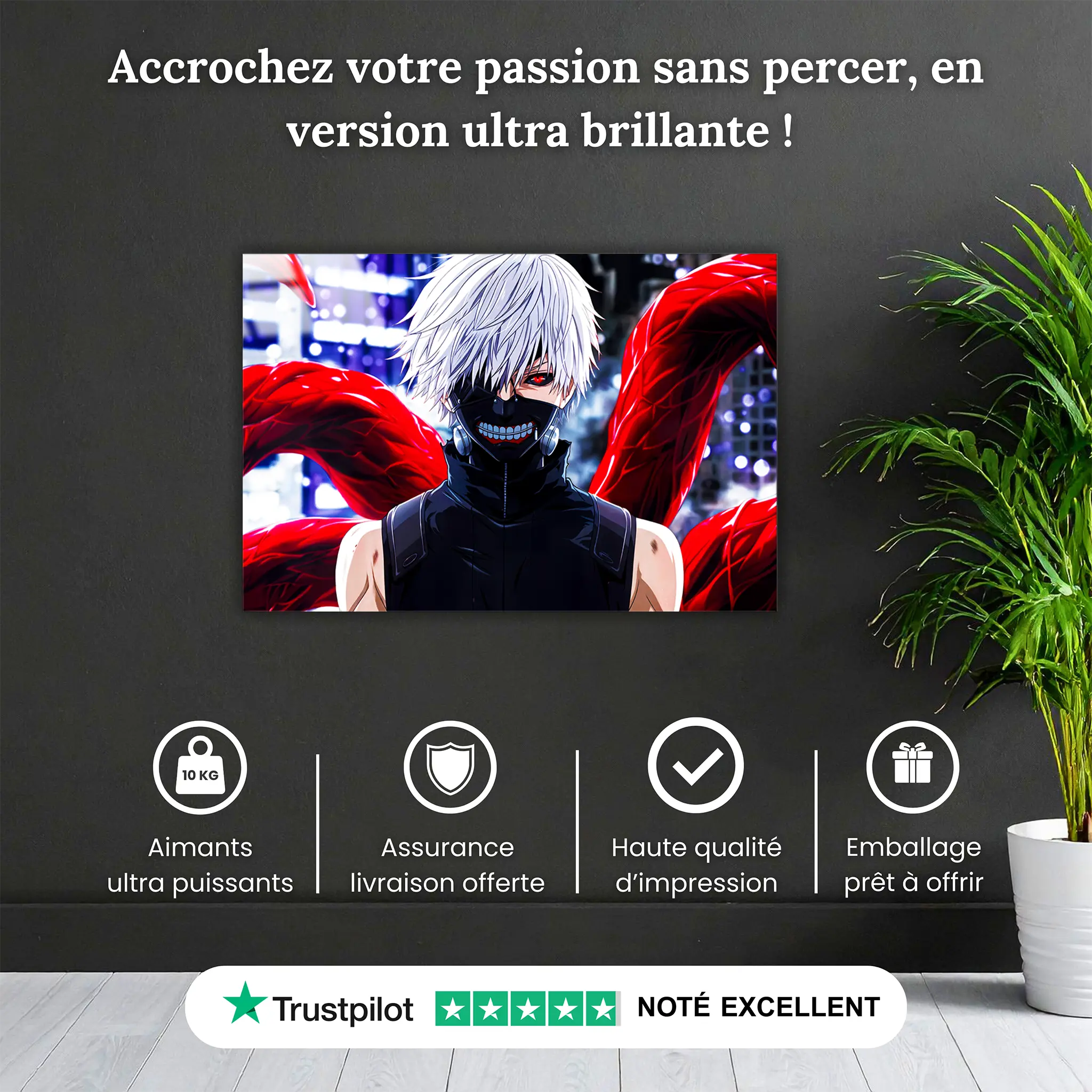 tableau-tokyo-ghoul-kaneki-pourquoi-acheter | DreamWay