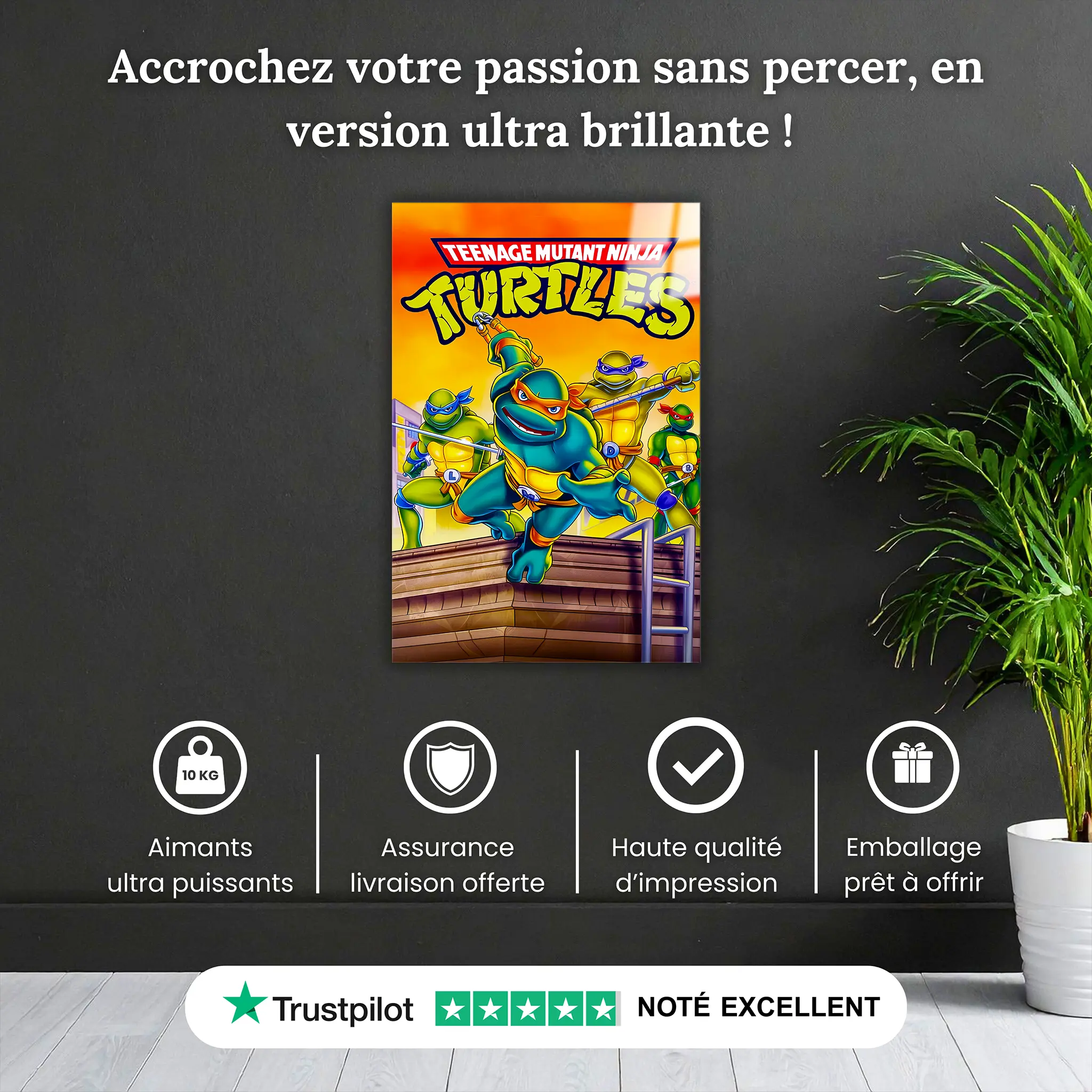 tableau-tortues-ninja-les-heros-affiche-pourquoi-acheter | DreamWay
