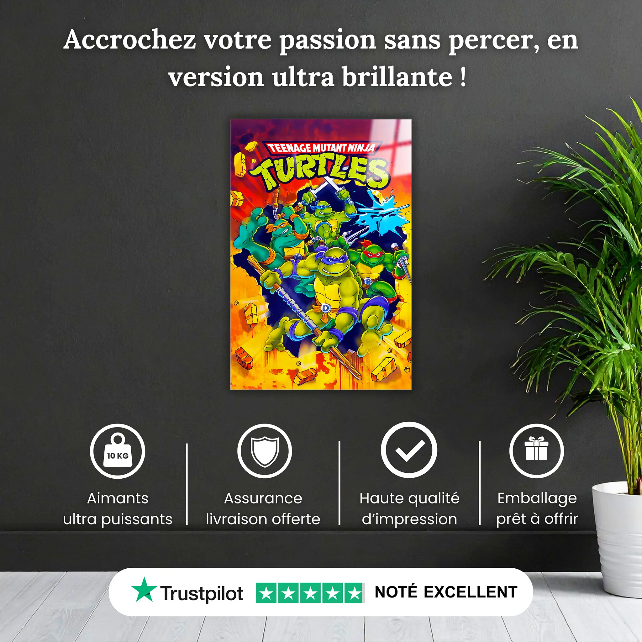 tableau-tortues-ninja-affiche-pourquoi-acheter | DreamWay