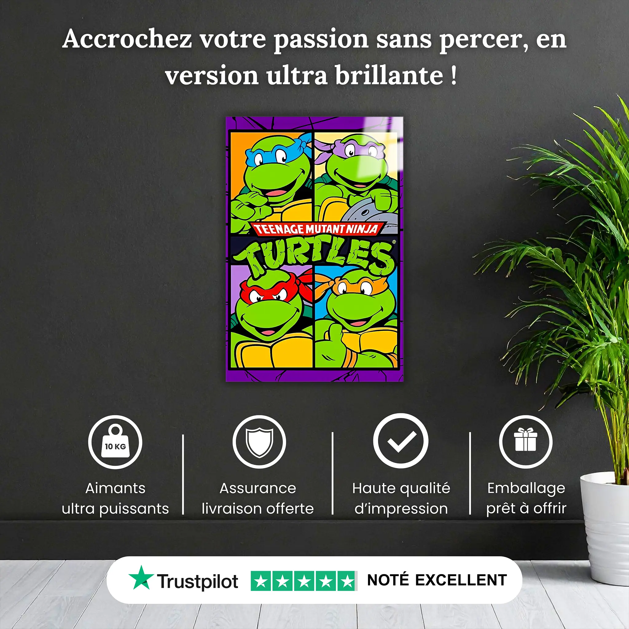 tableau-tortues-ninja-portrait-pourquoi-acheter | DreamWay
