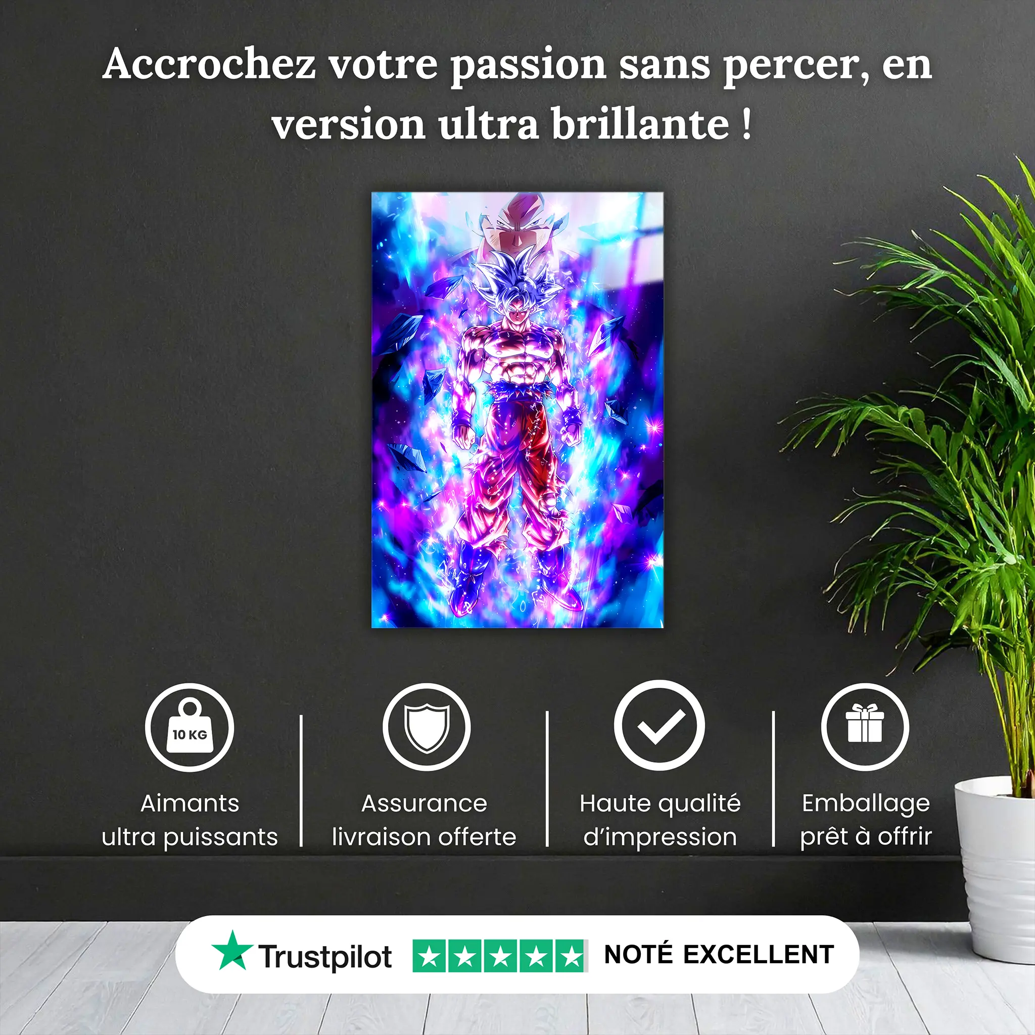 tableau-ultra-instinct-goku-pourquoi-acheter | DreamWay