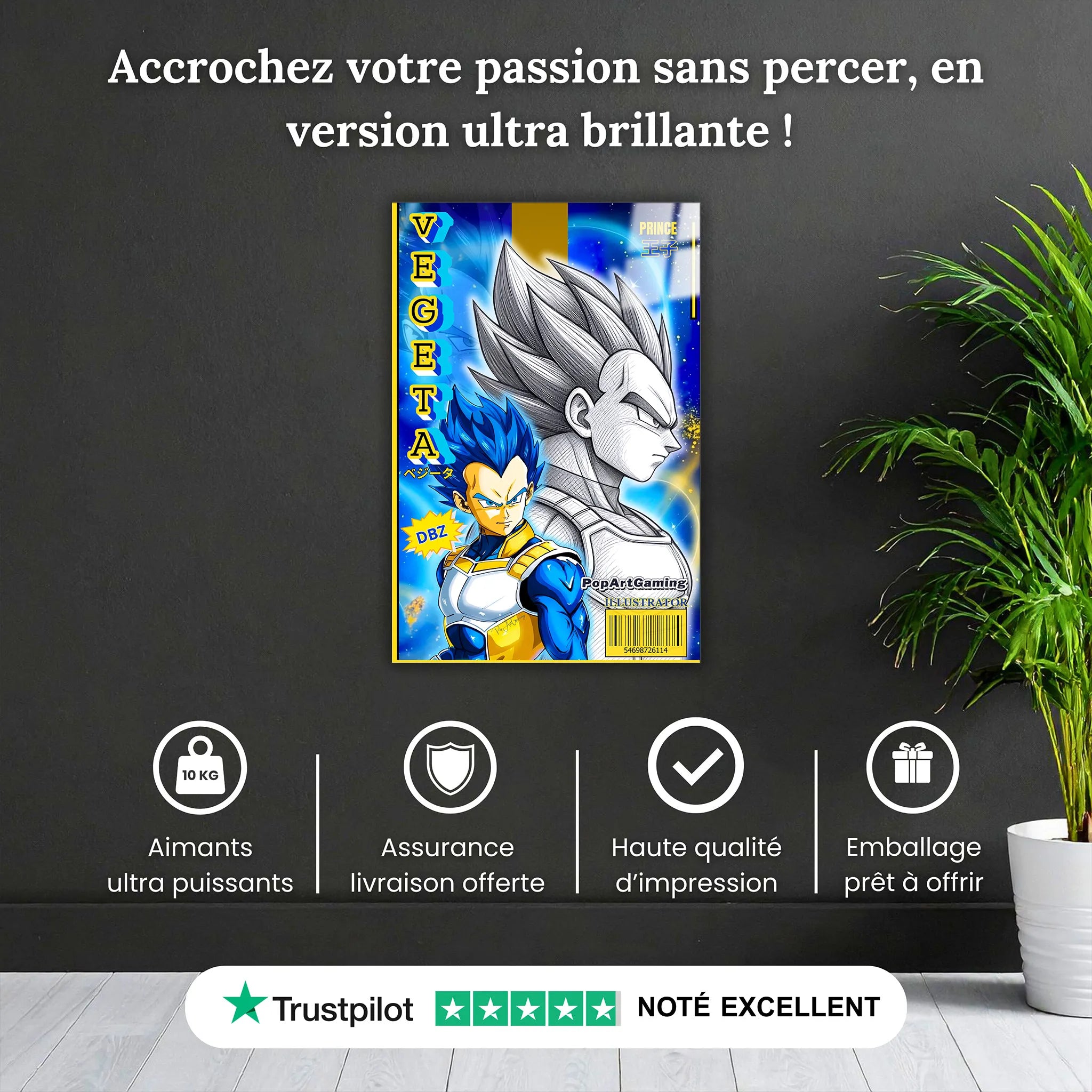 Tableau Vegeta Affiche