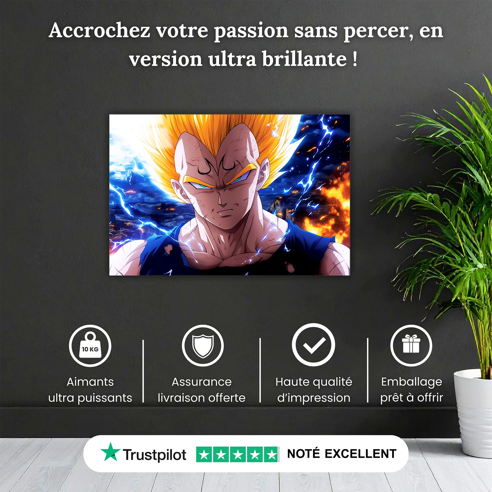tableau-vegeta-paysage-pourquoi-acheter | DreamWay