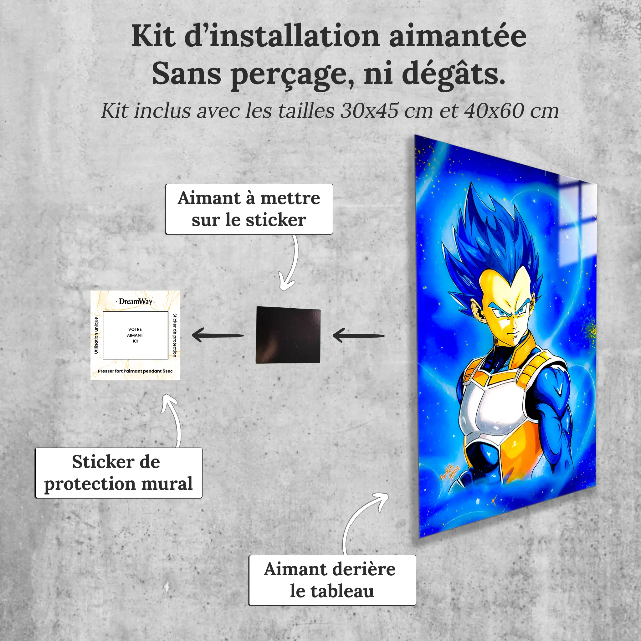 tableau-vegeta-pop-art-avec-installation-aimantee | DreamWay