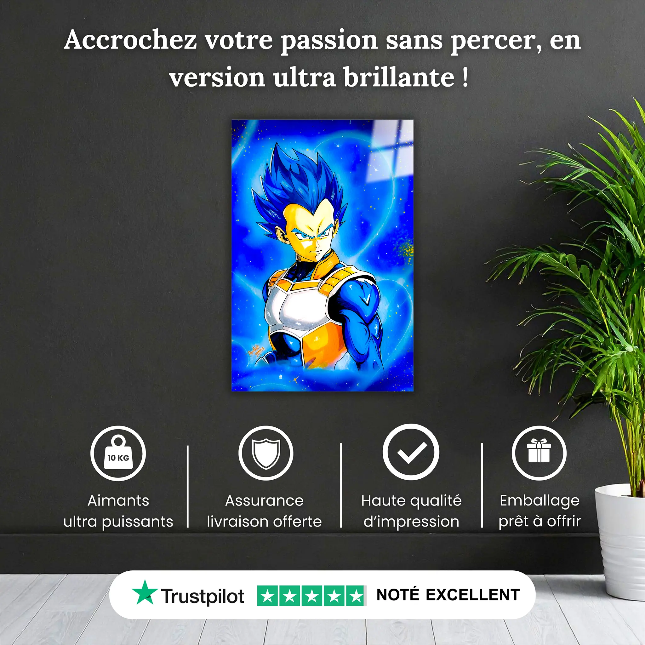 tableau-vegeta-pop-art-pourquoi-acheter | DreamWay