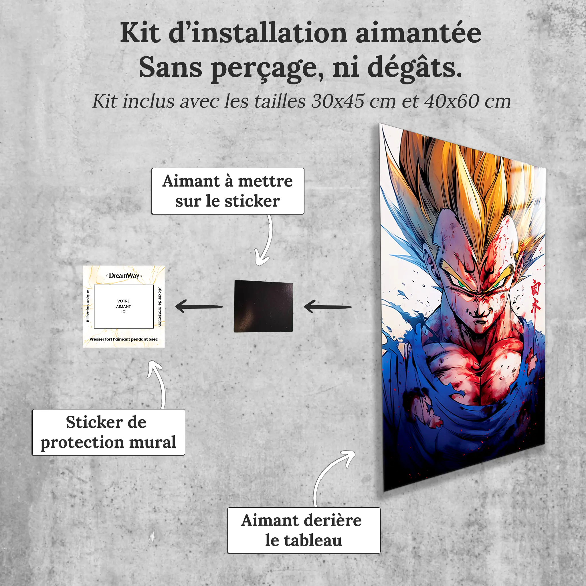 tableau-vegeta-portrait-avec-installation-aimantee | DreamWay