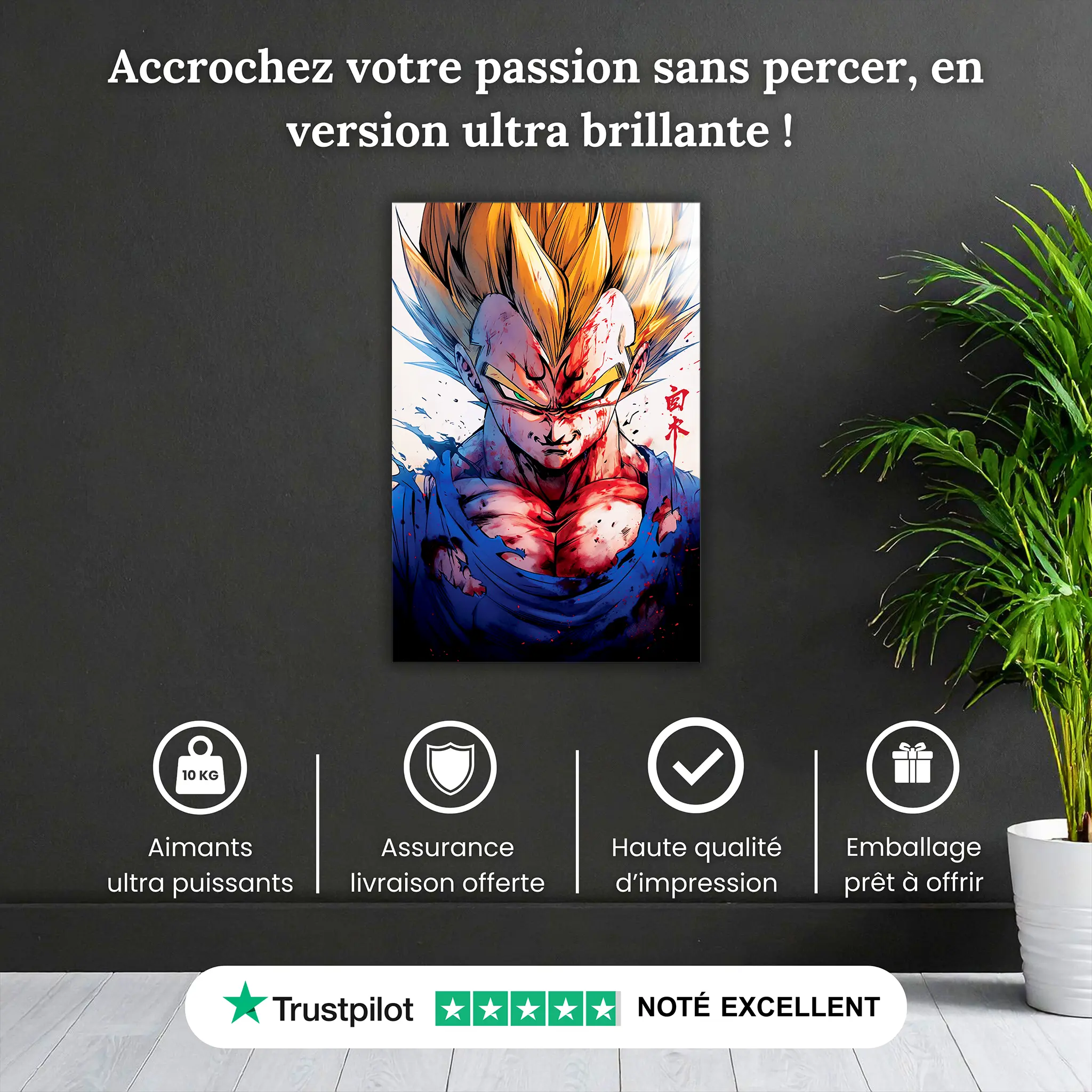 tableau-vegeta-portrait-pourquoi-acheter | DreamWay