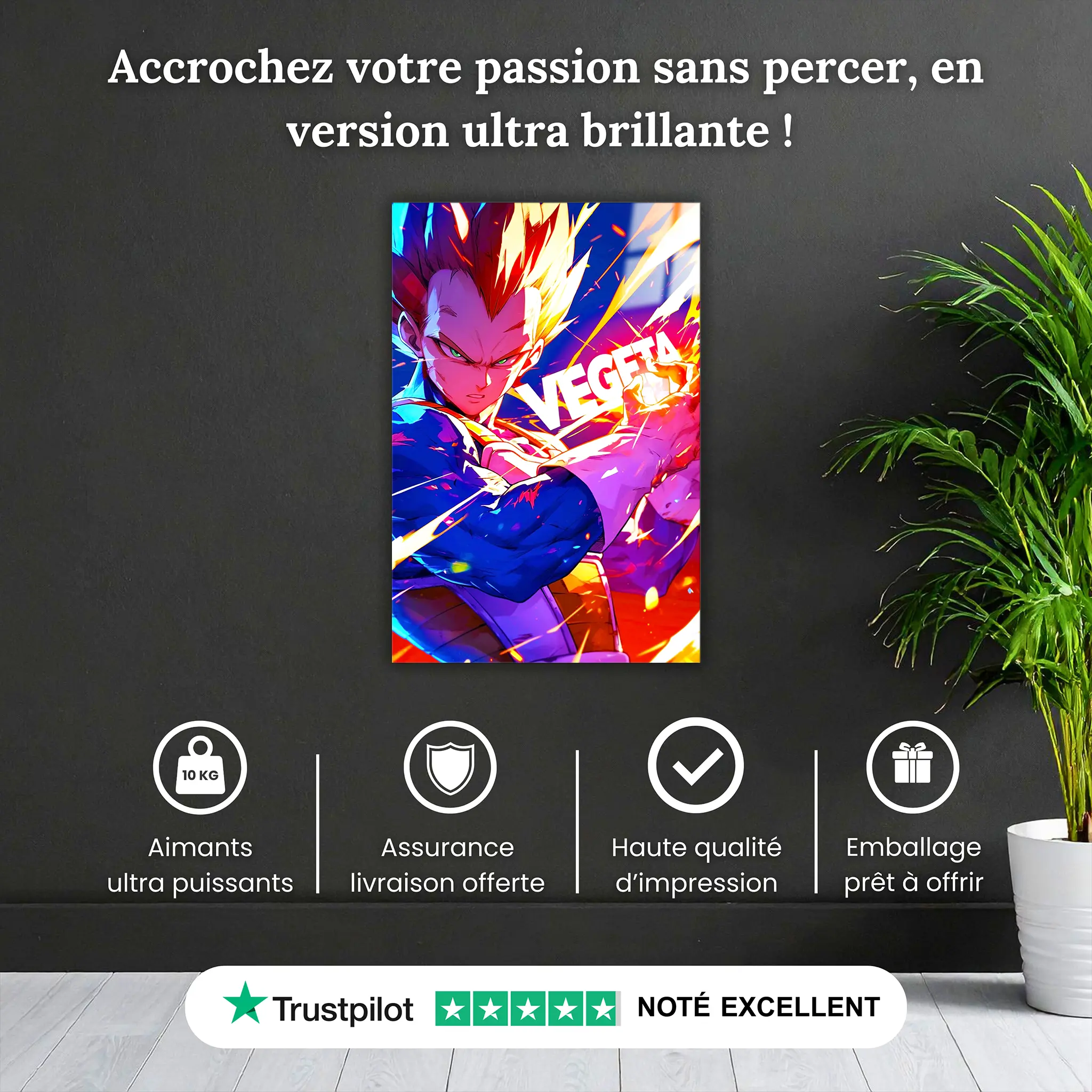 tableau-vegeta-super-Saiyan-pourquoi-acheter | DreamWay