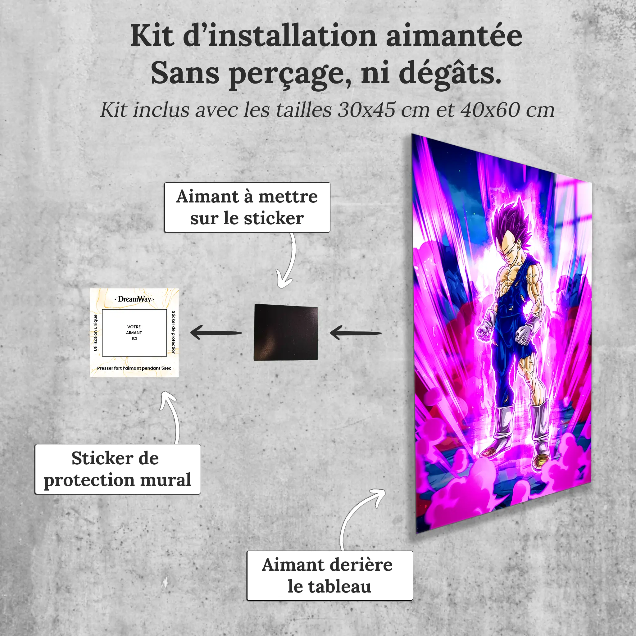 tableau-vegeta-ultra-ego-avec-installation-aimantee | DreamWay