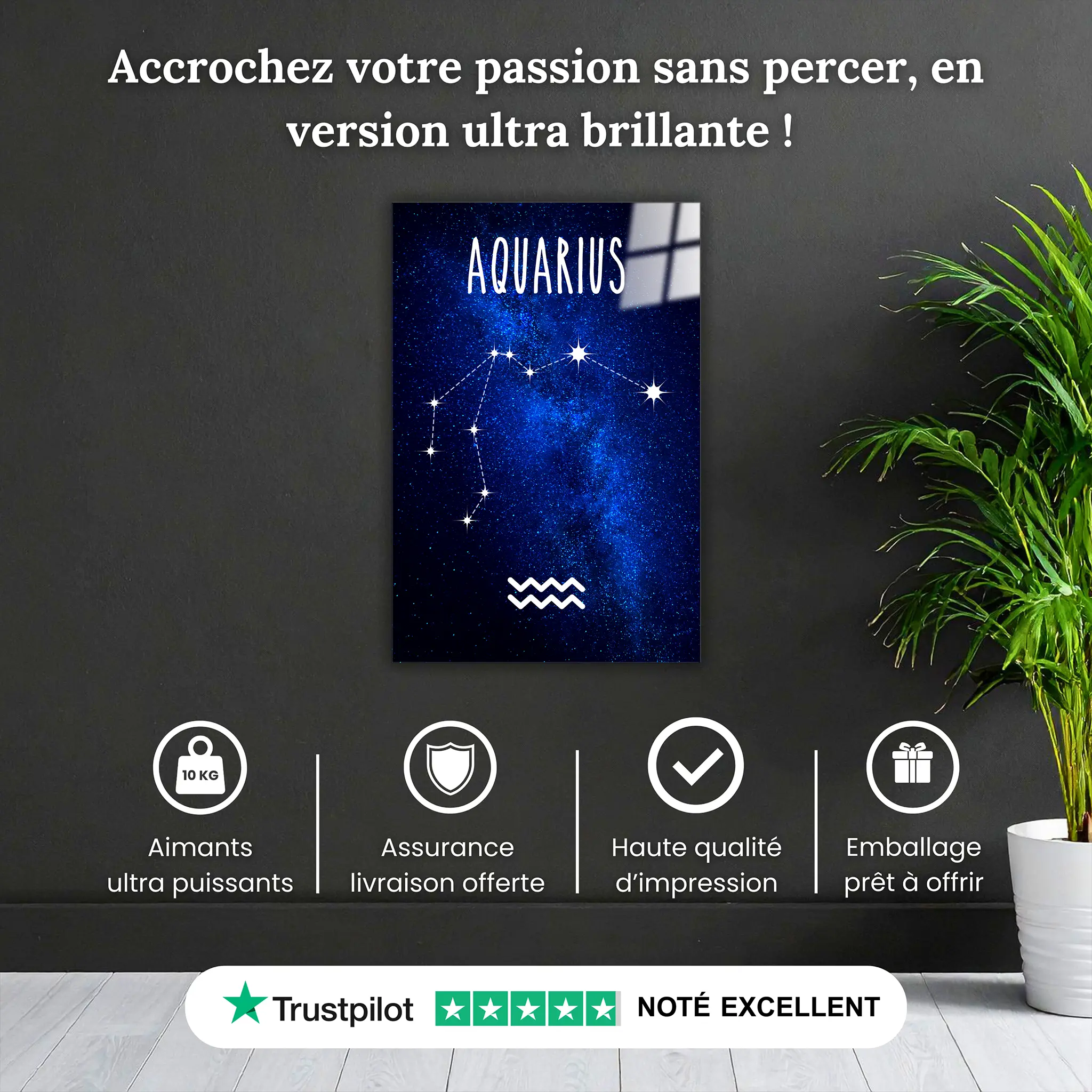 tableau-verseau-constellation-pourquoi-acheter | DreamWay