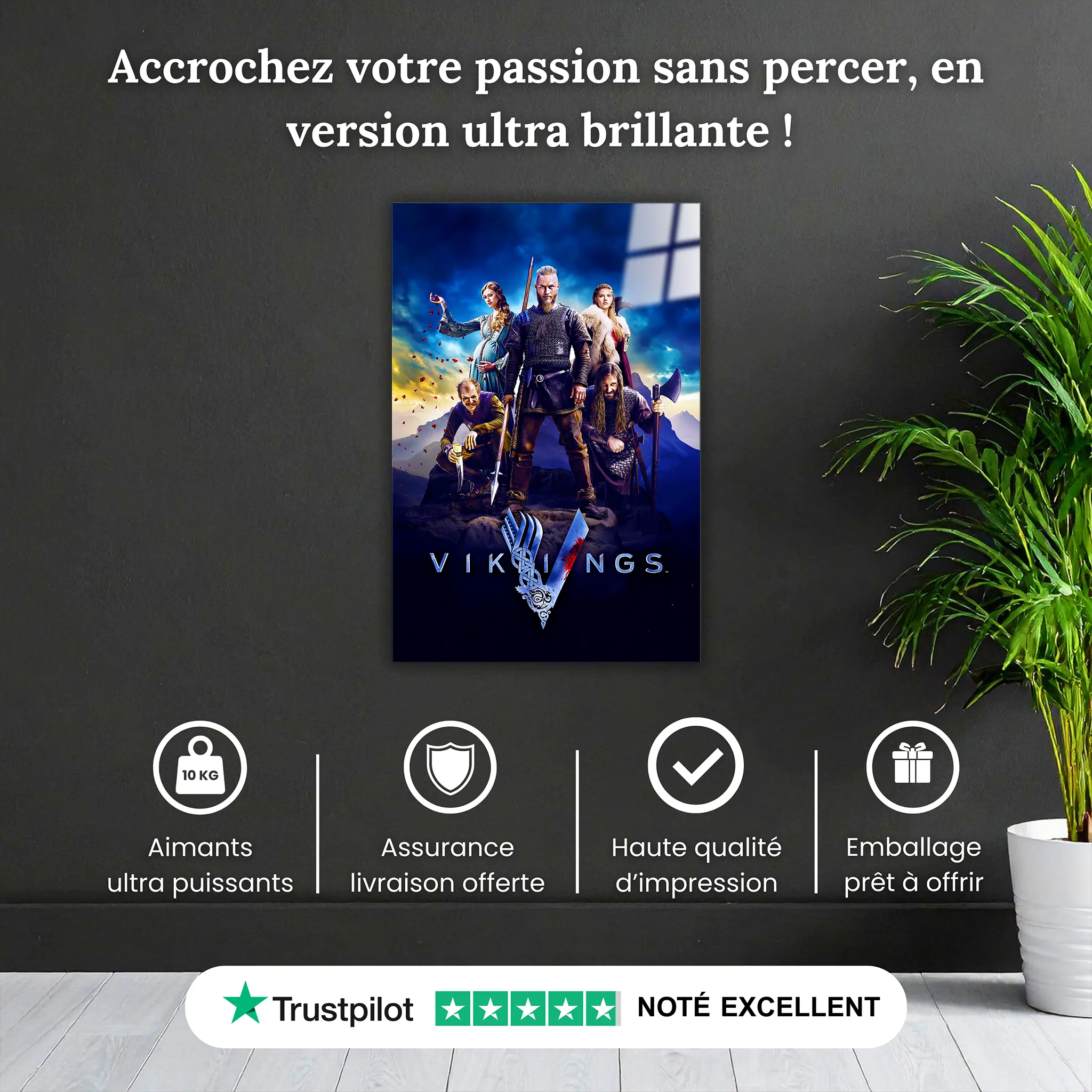 tableau-vikings-affiche-pourquoi-acheter | DreamWay