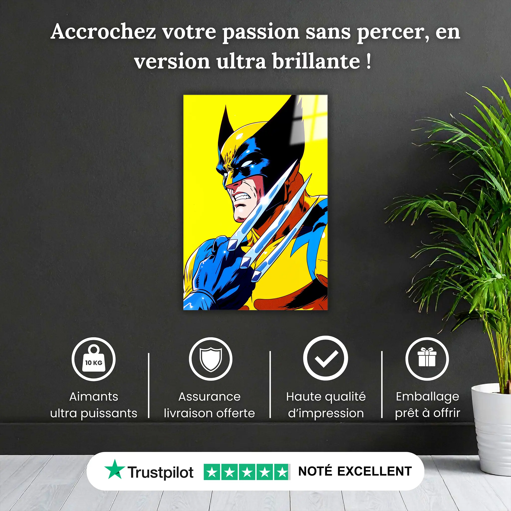 tableau-wolverine-pourquoi-acheter | DreamWay