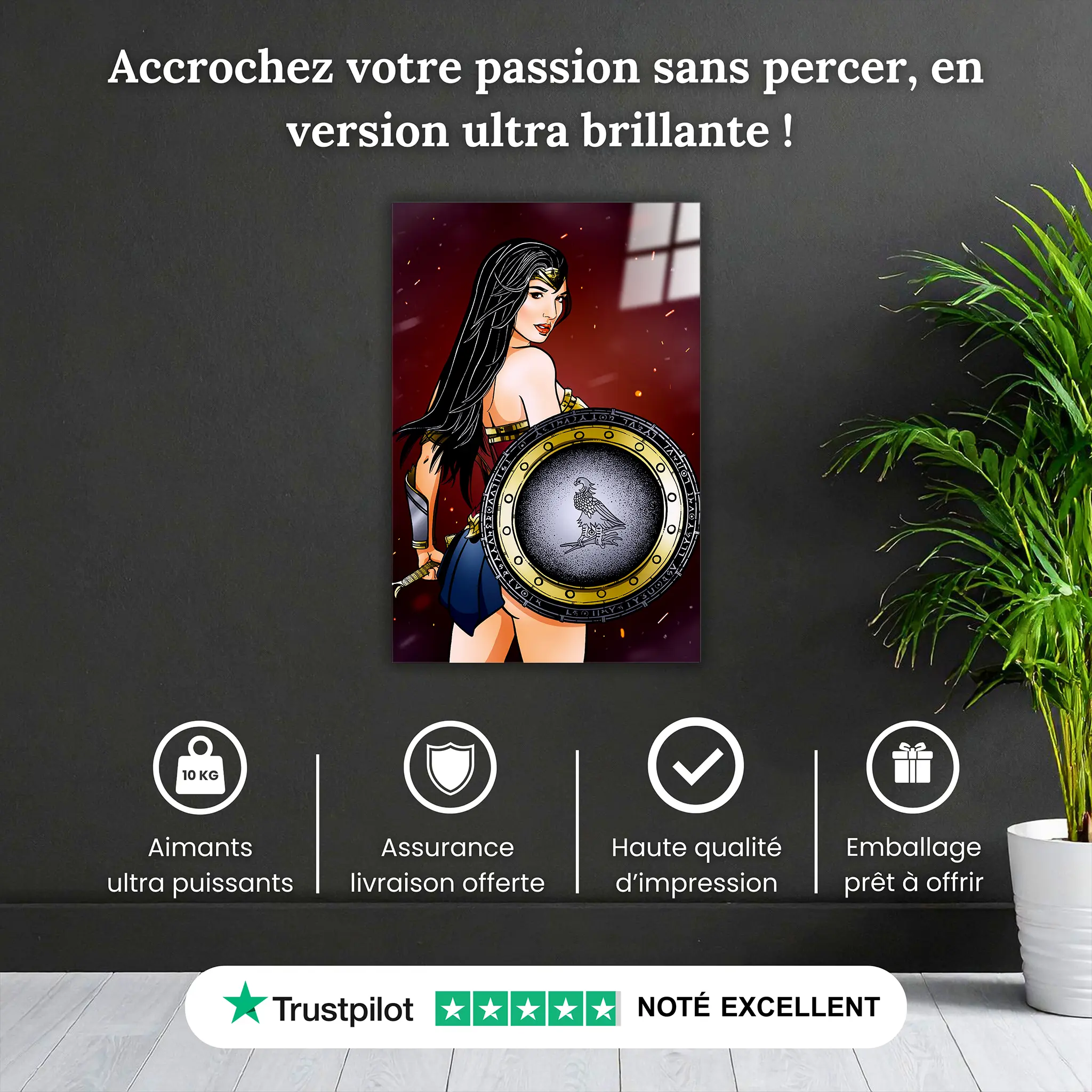 tableau-wonder-woman-pourquoi-acheter | DreamWay