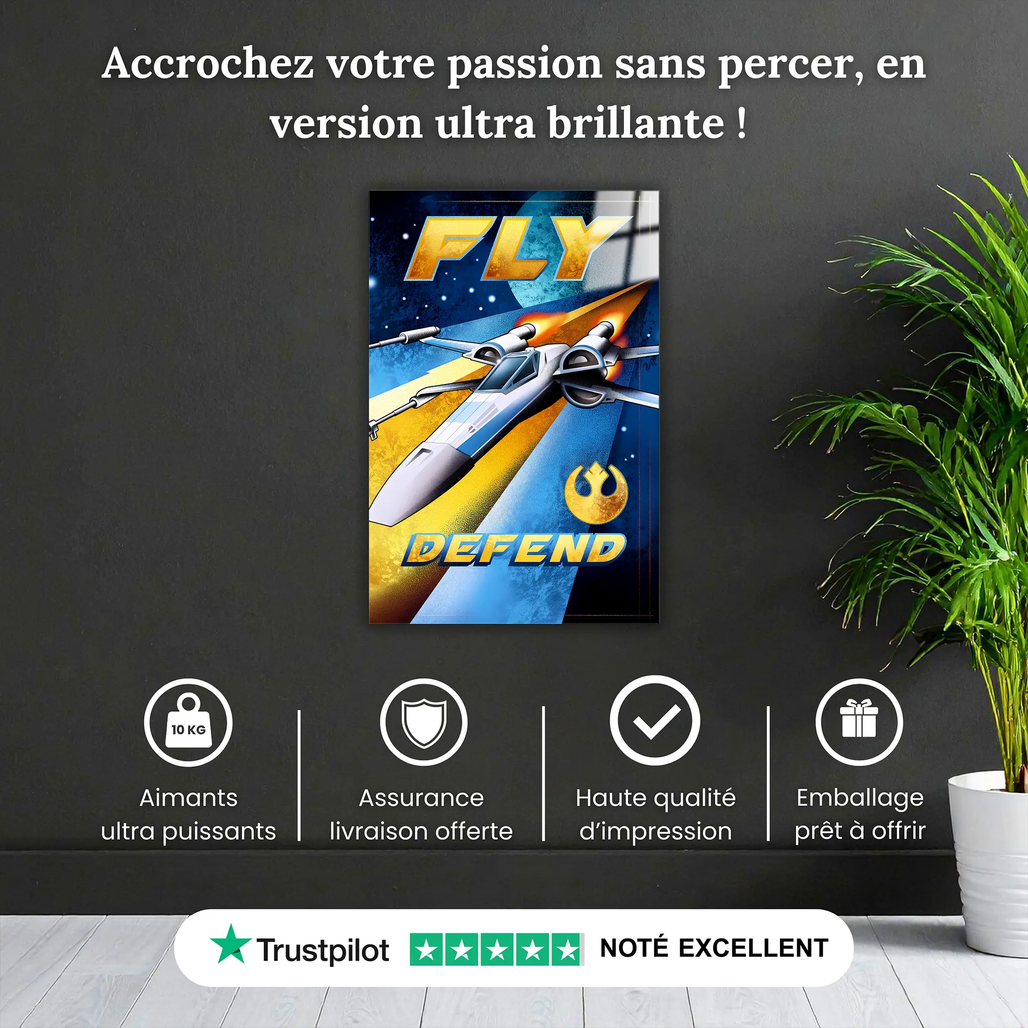 tableau-x-wing-affiche-pourquoi-acheter | DreamWay
