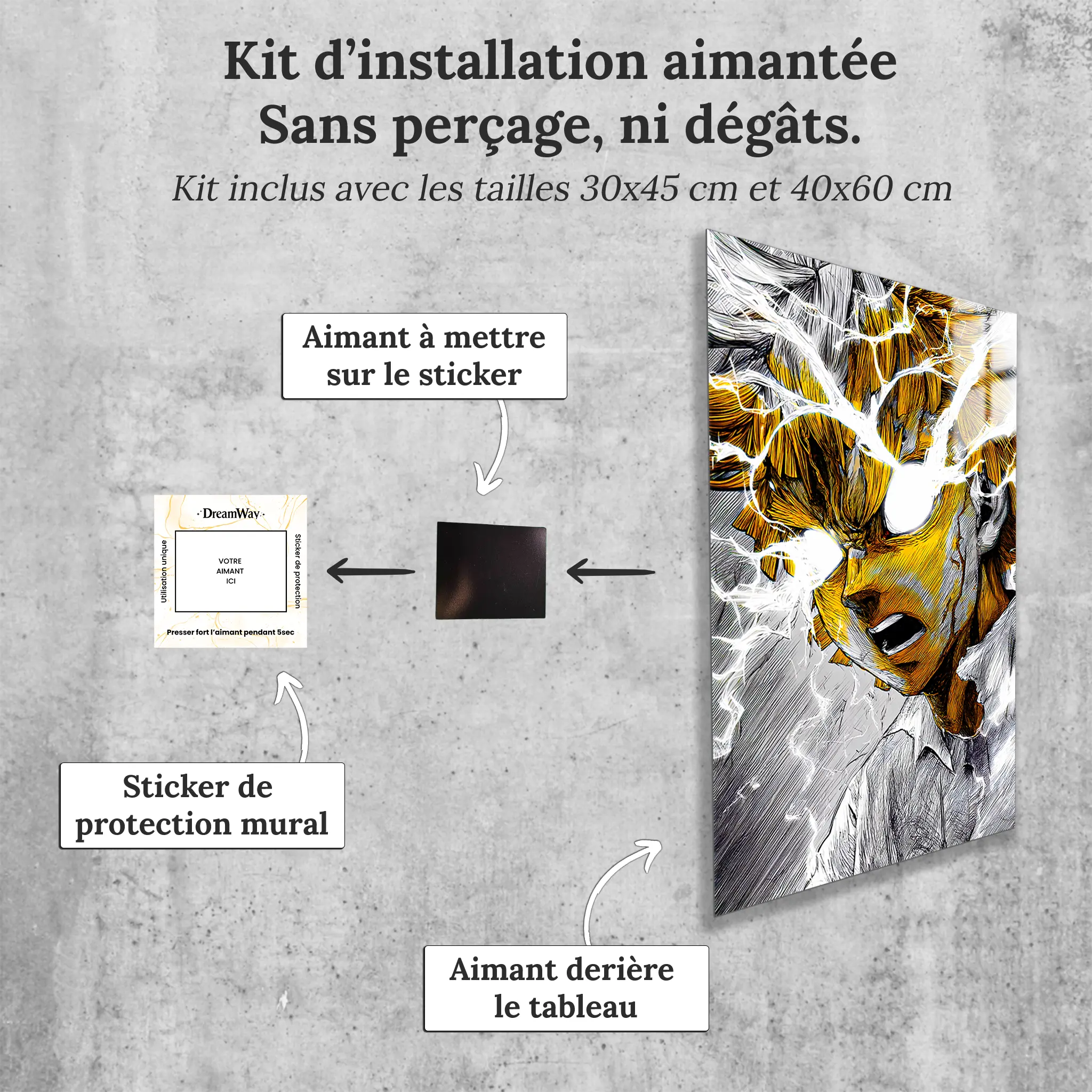 tableau-zenitsu-portrait-avec-installation-aimantee | DreamWay