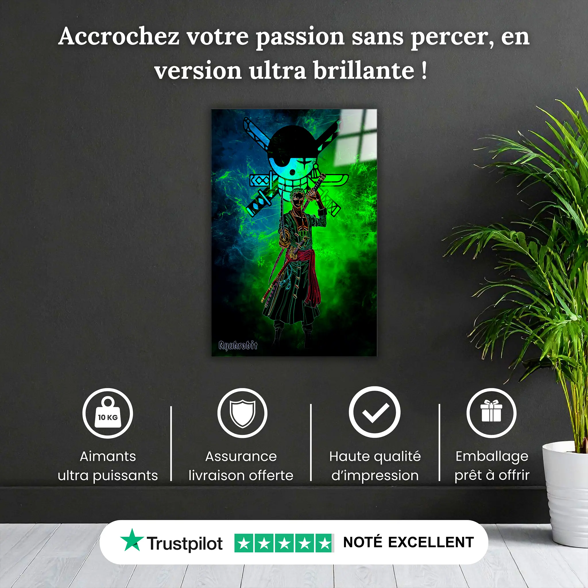 tableau-zoro-colore-pourquoi-acheter | DreamWay