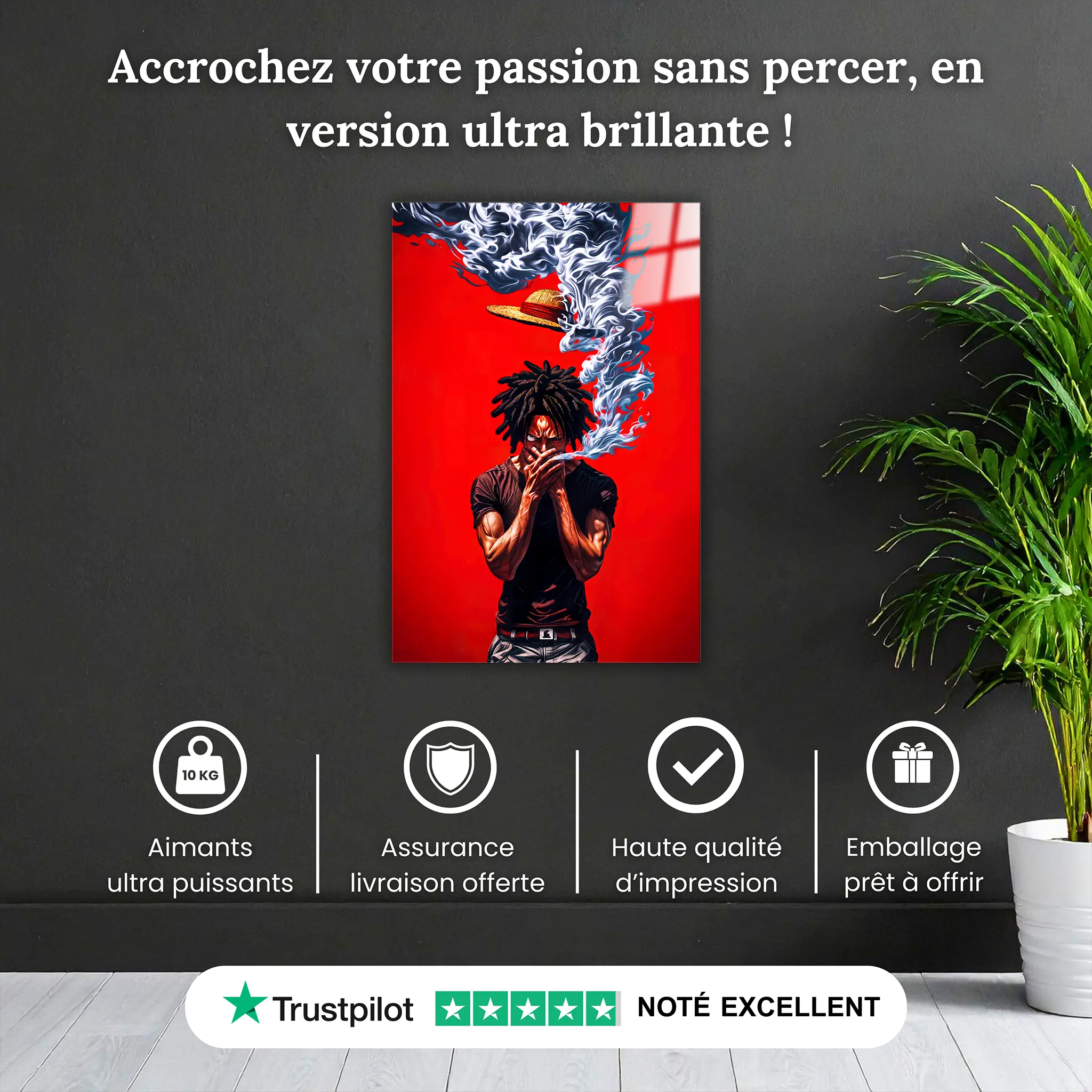 tableaue-marley-d-luffy-pourquoi-acheter | DreamWay