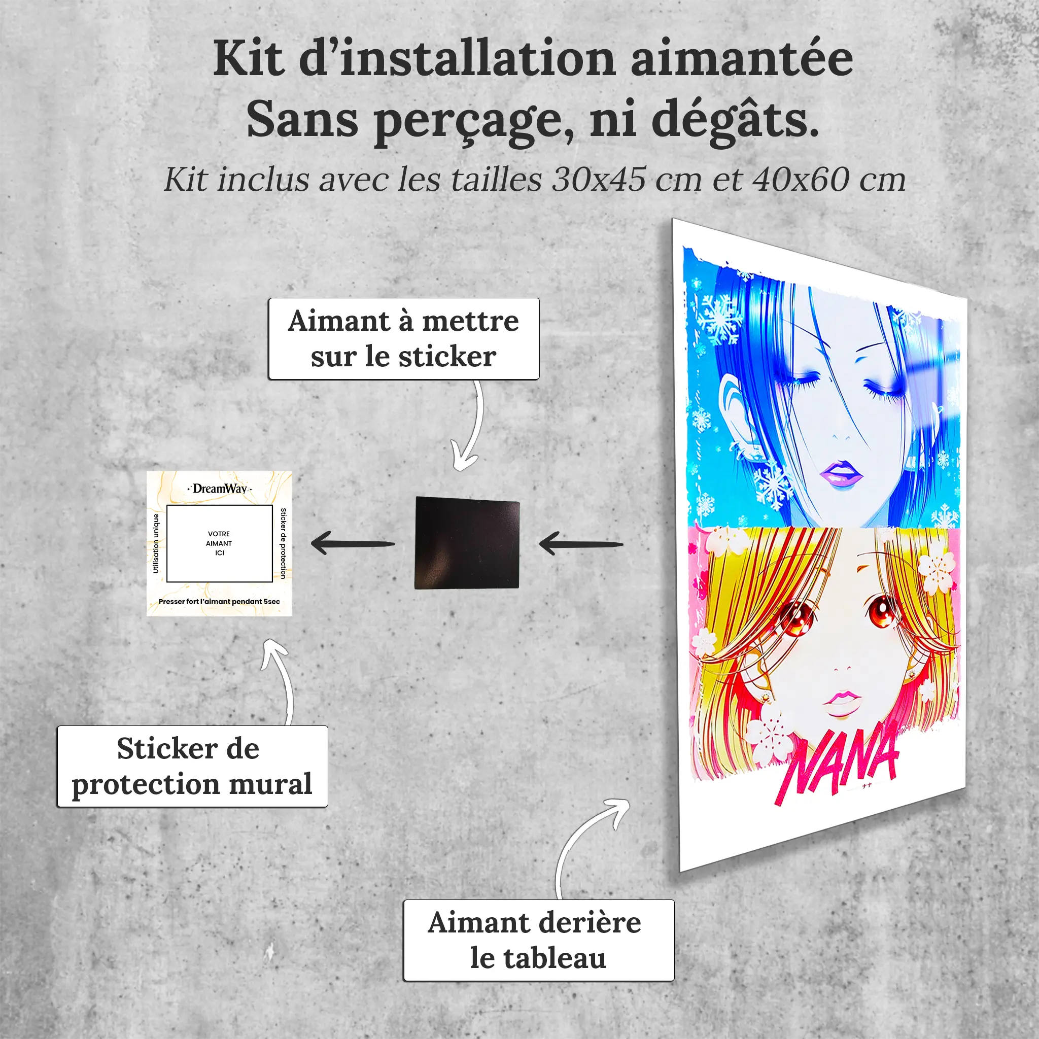 tableaux-affiche-manga-nana-avec-installation-aimantee | DreamWay