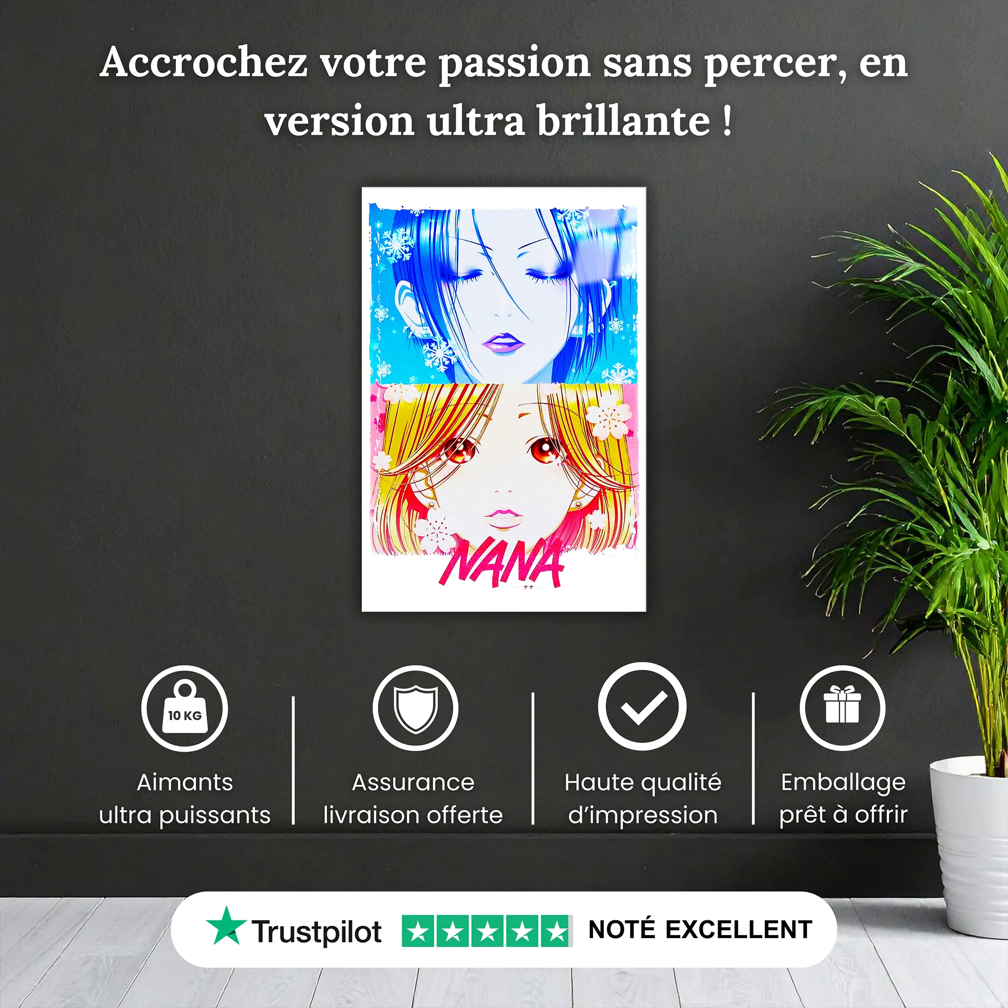 tableaux-affiche-manga-nana-pourquoi-acheter | DreamWay