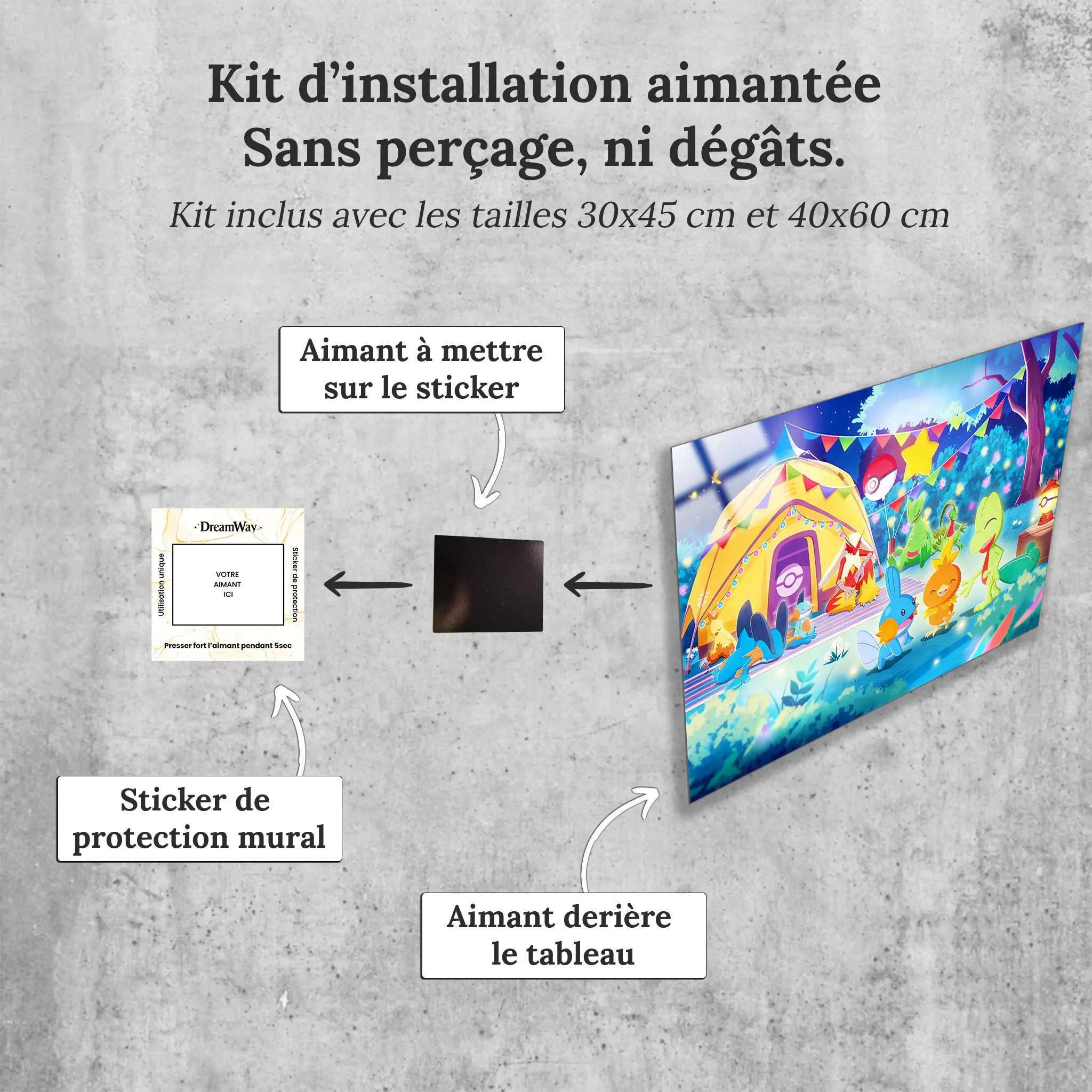 tableaux-pokemon-starters-gen-3-avec-installation-aimantee | DreamWay