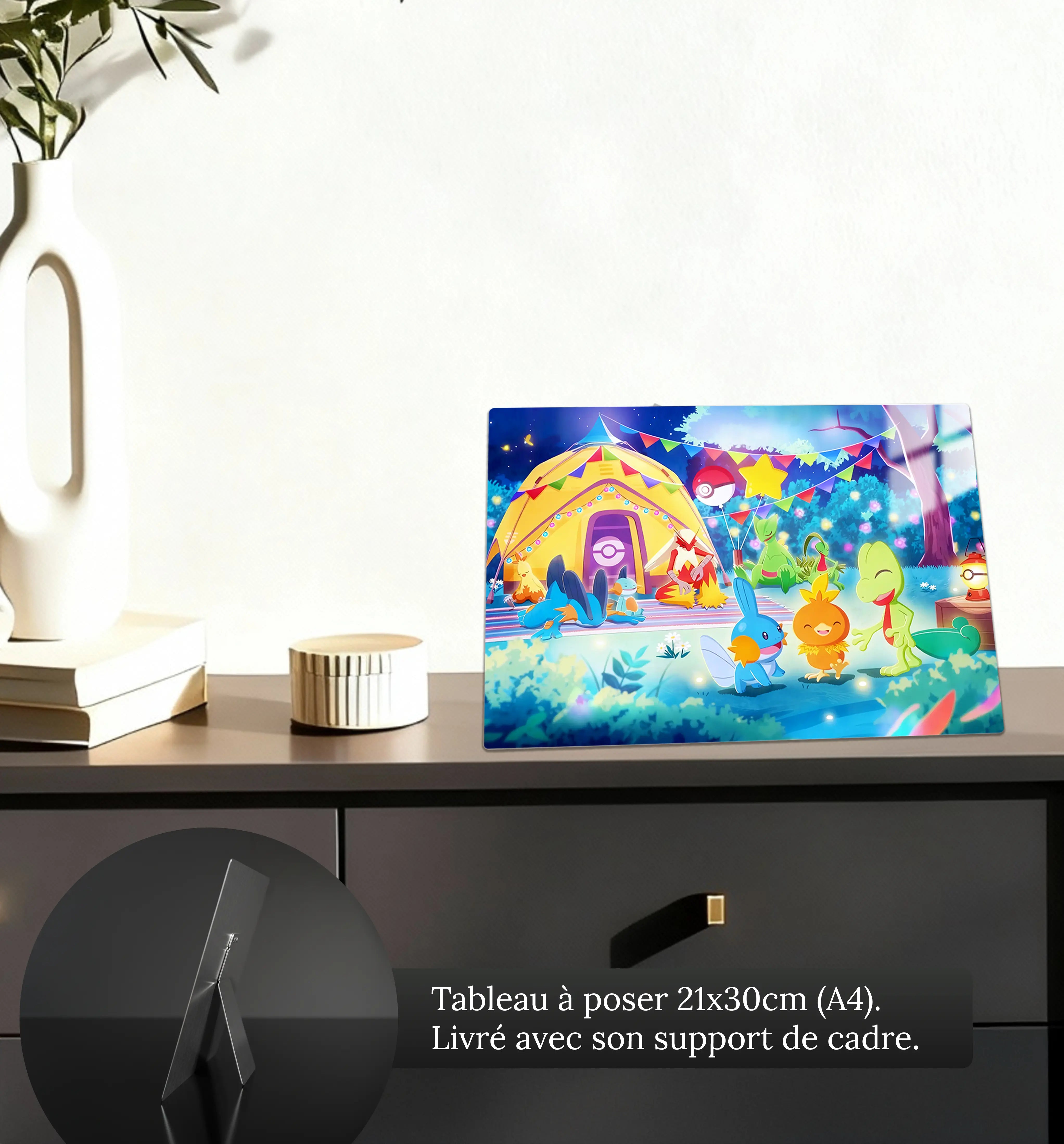 tableaux-pokemon-starters-gen-3-petit-format-a-poser-sur-meuble | DreamWay