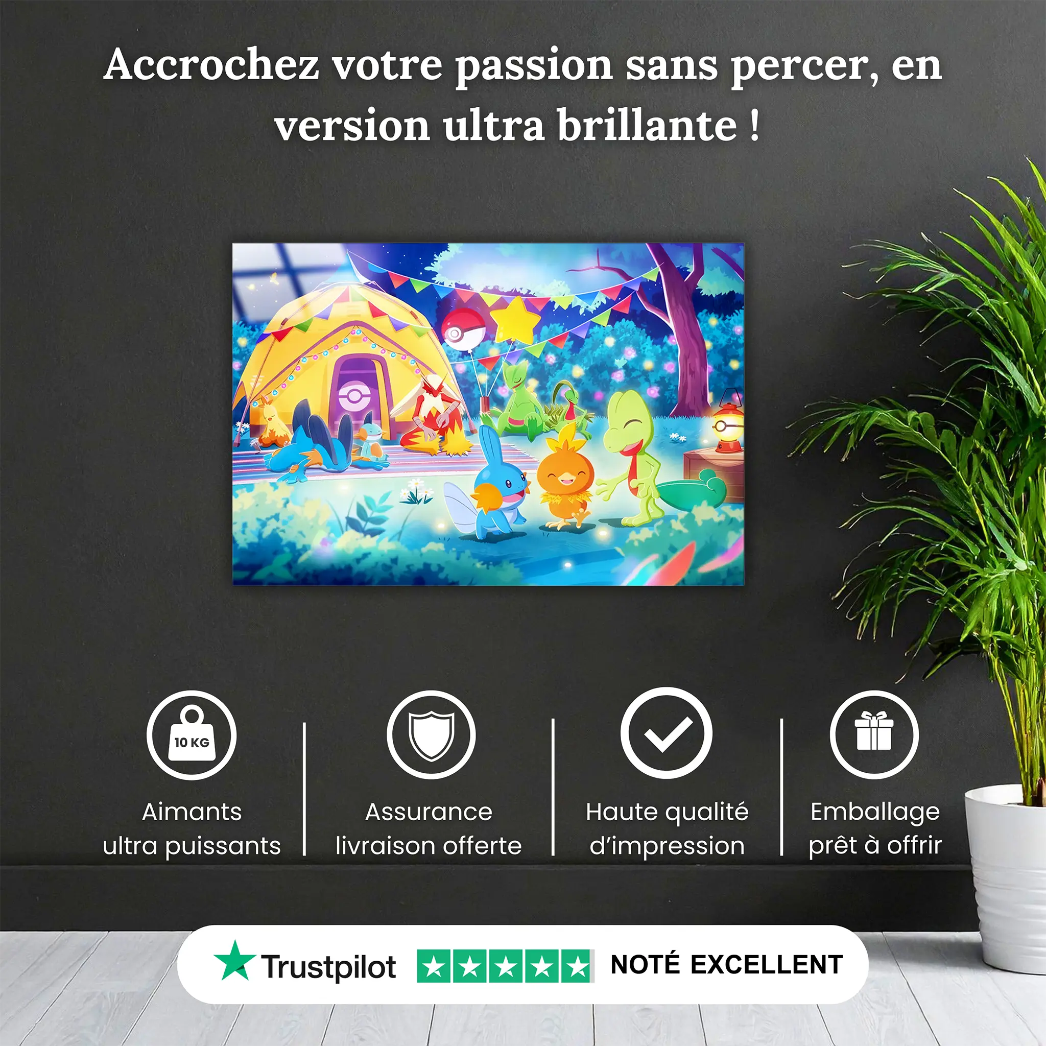 tableaux-pokemon-starters-gen-3-pourquoi-acheter | DreamWay