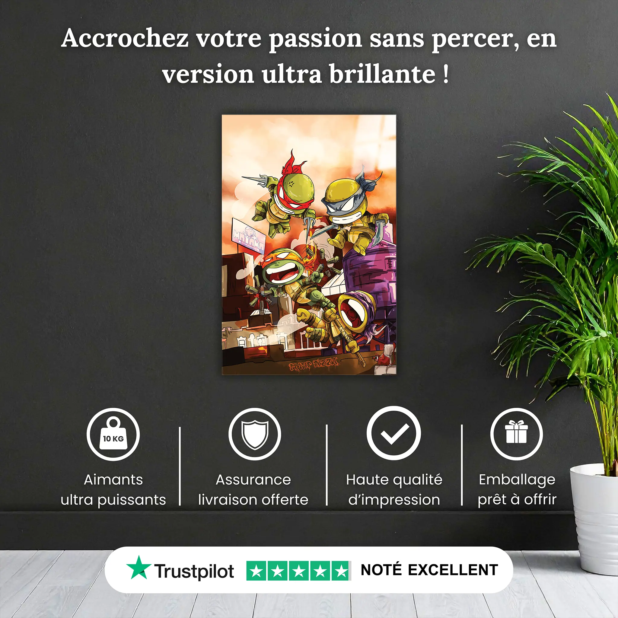 tmnt-tableau-1-pourquoi-acheter | DreamWay